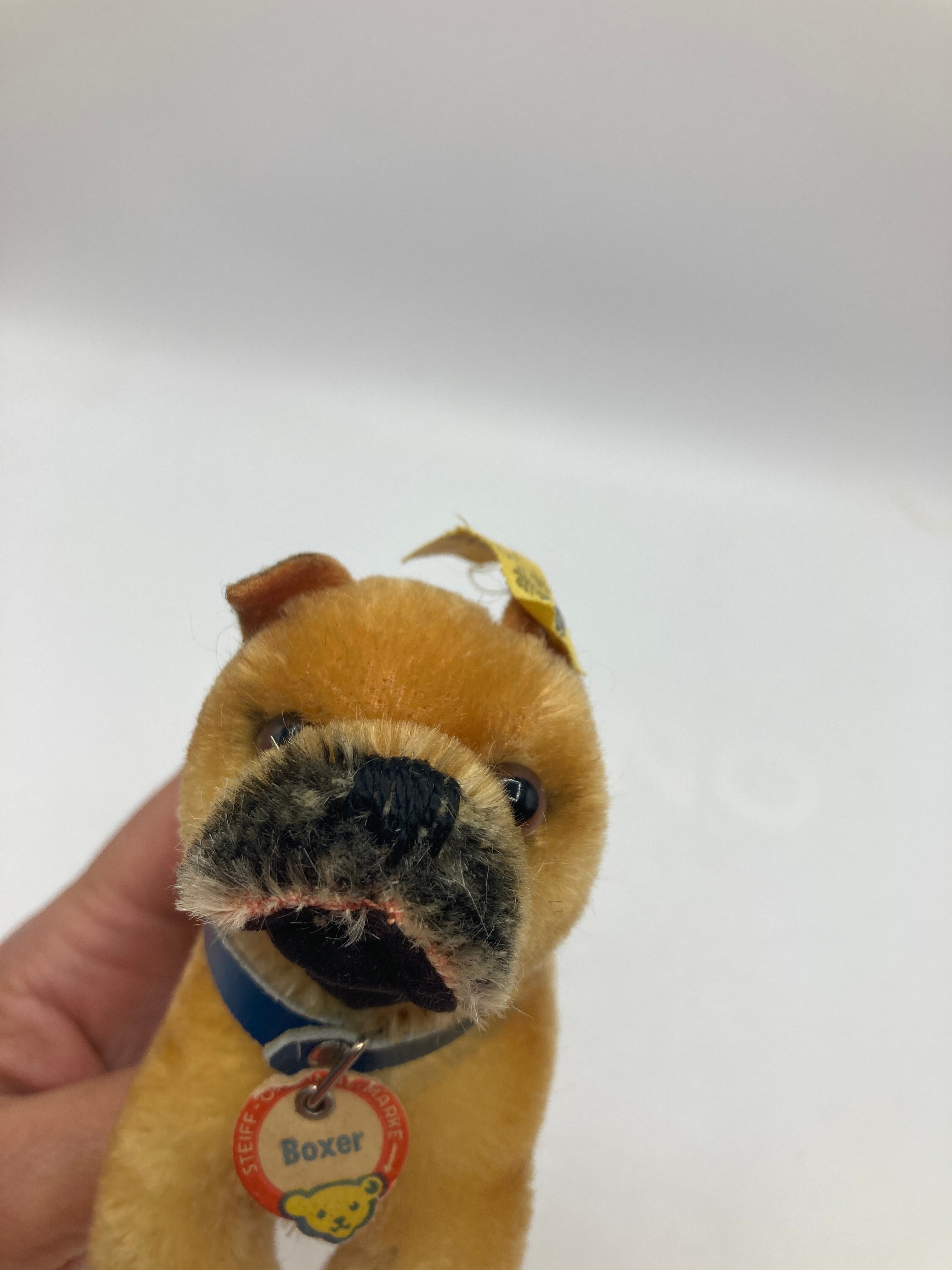 Steiff Smallest Standing Boxer Dog With All IDs | My Site