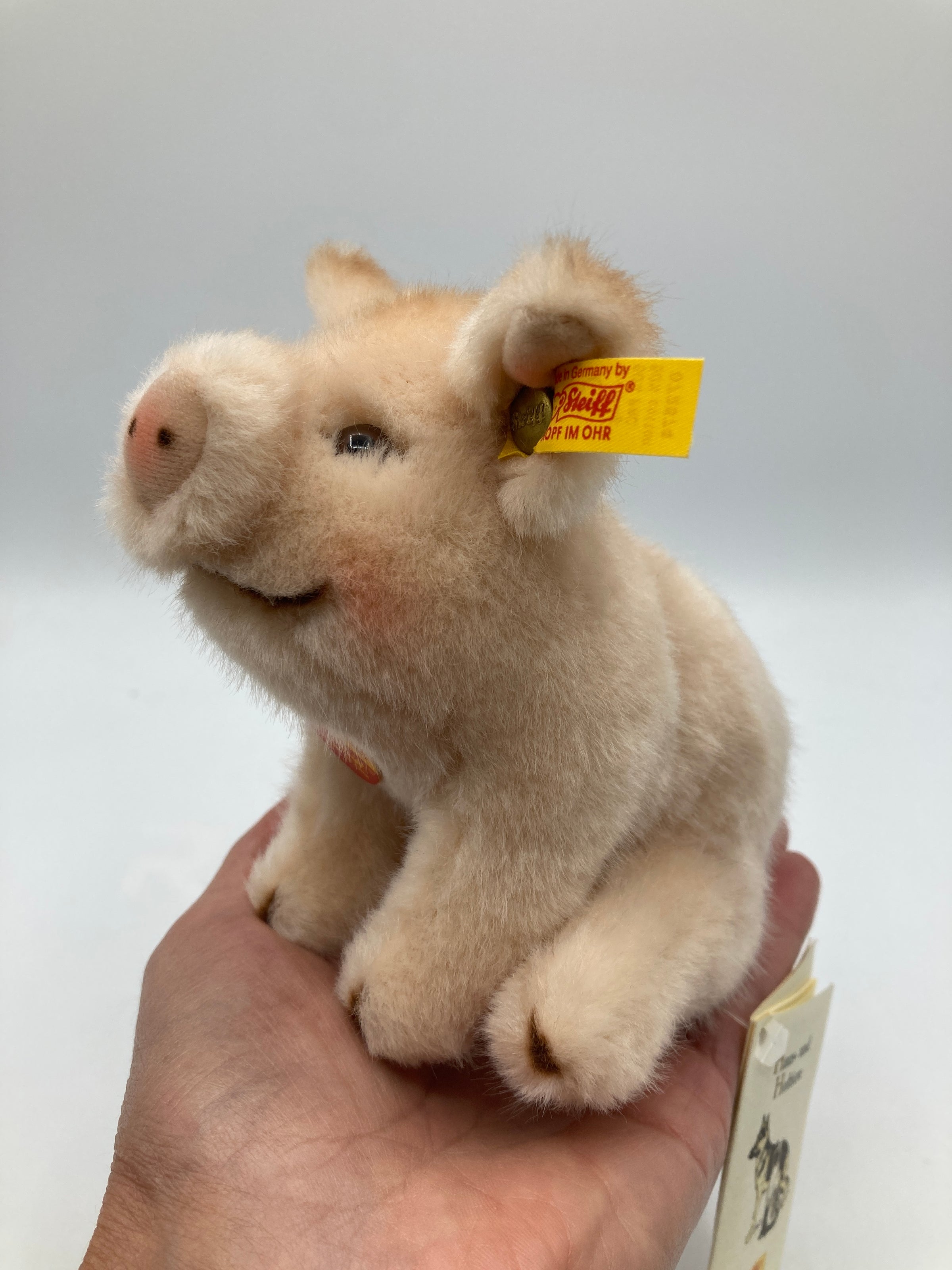 Steiff Pink Plush Sitting Baby Pig With All IDs | My Site