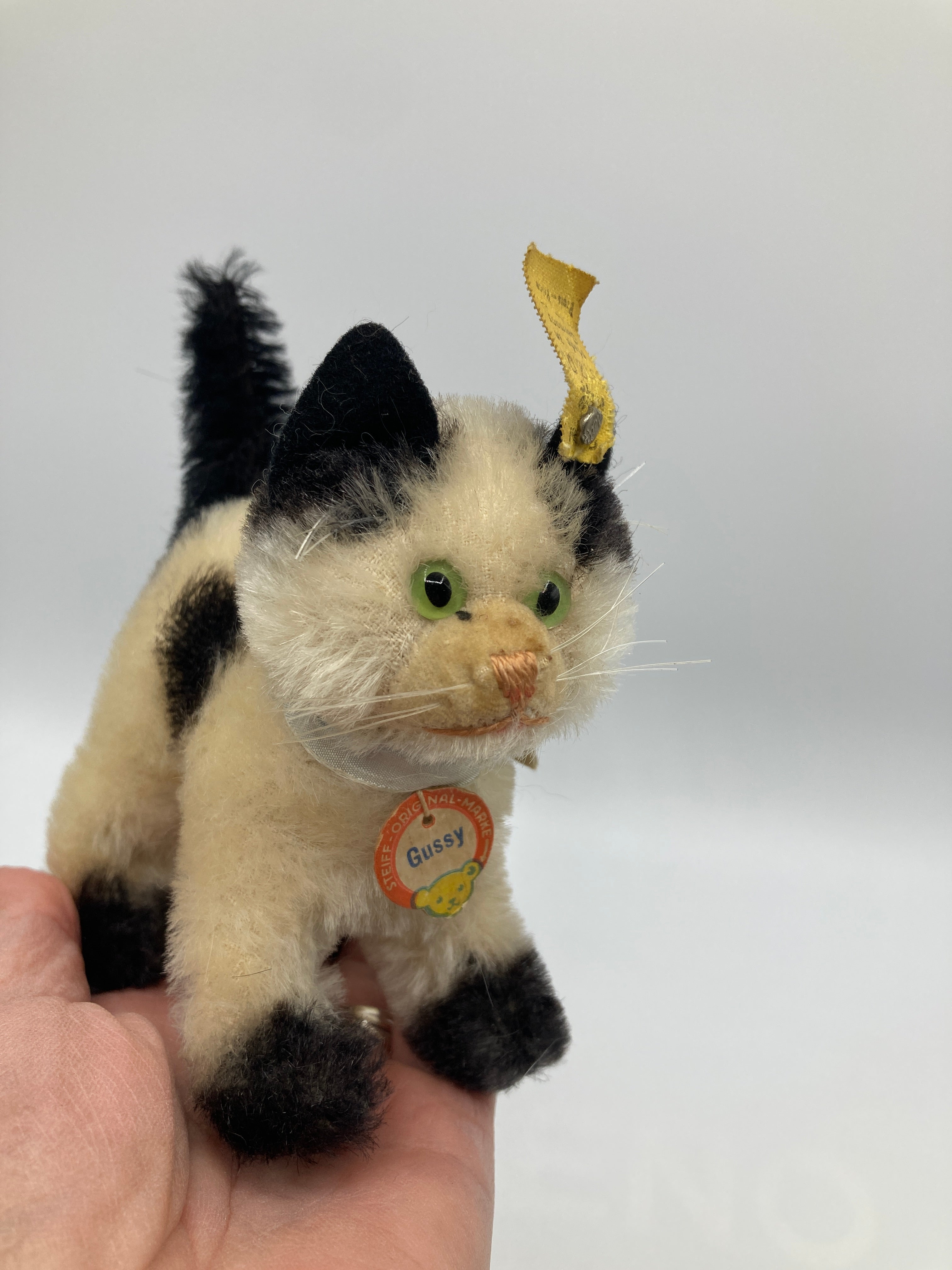 【M02-29】 Steiff シュタイフ Gussy ガッシー ネコ タグ付き Steiff Small Gussy Cat With All IDs | My Site