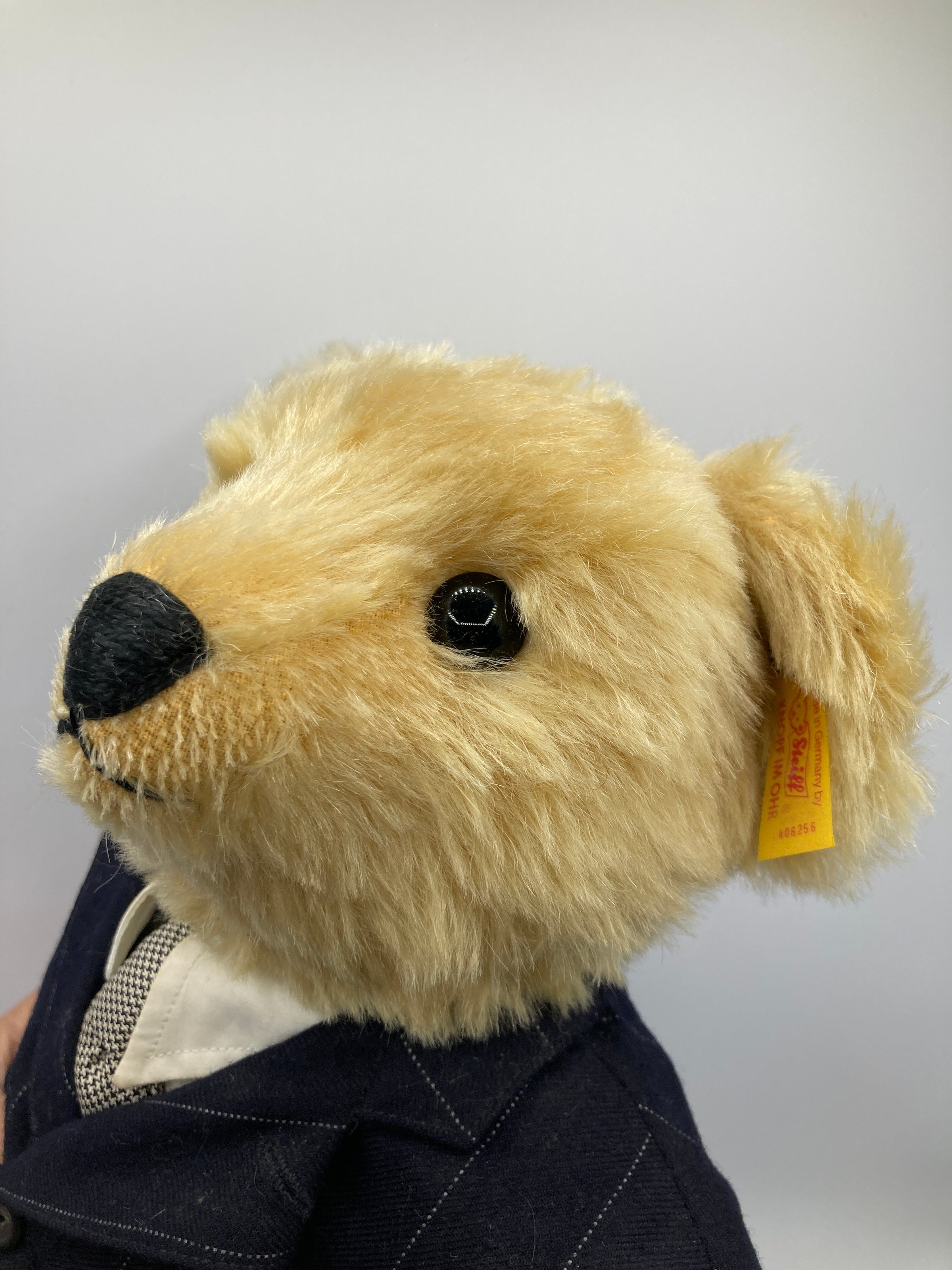 Steiff Ralph Lauren Chairman of the Board Bear With All IDs | My Site