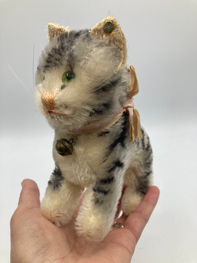 Cats | My Site