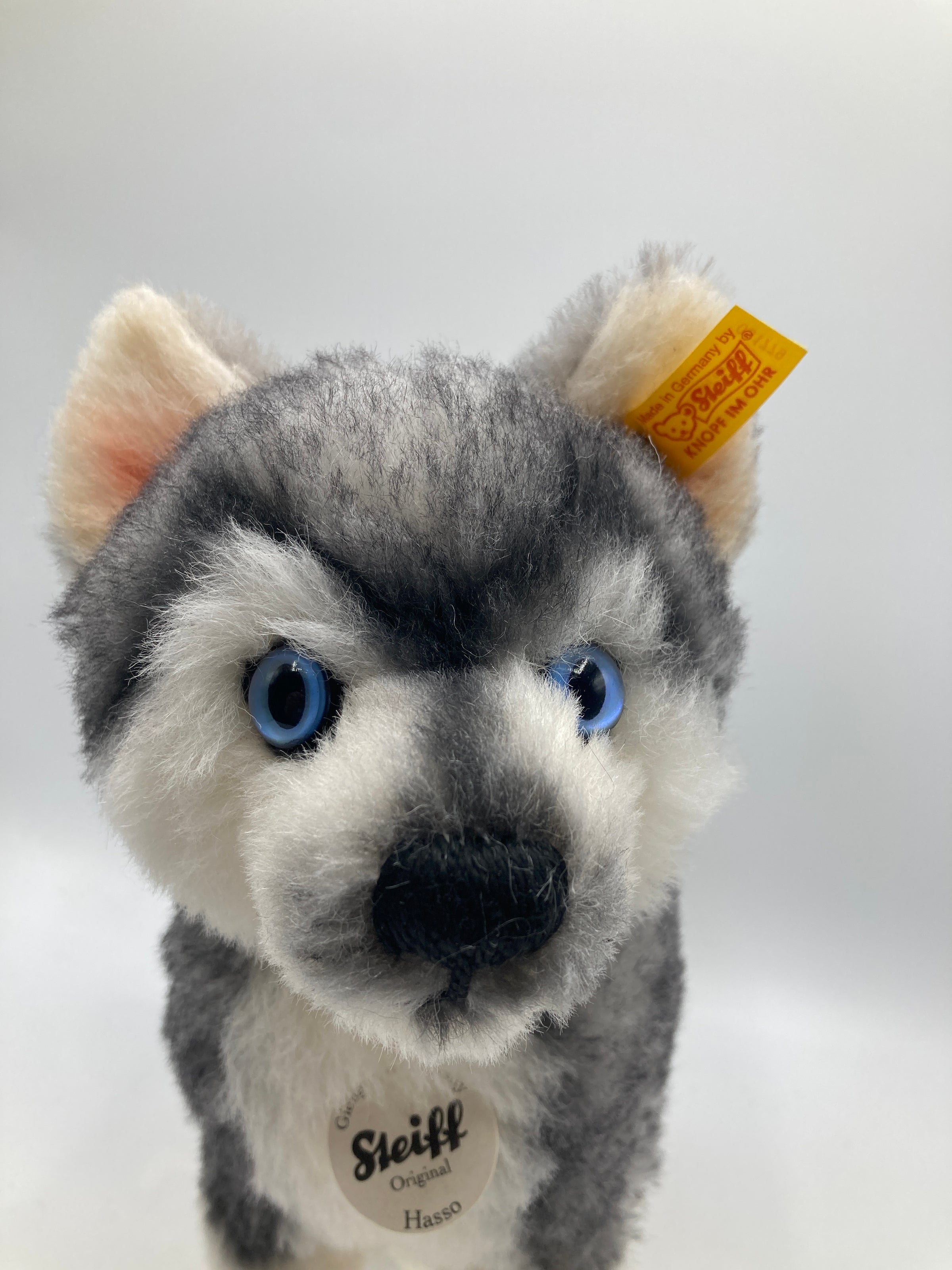 Steiff Hasso Husky Alpaca Dog with All IDs | My Site