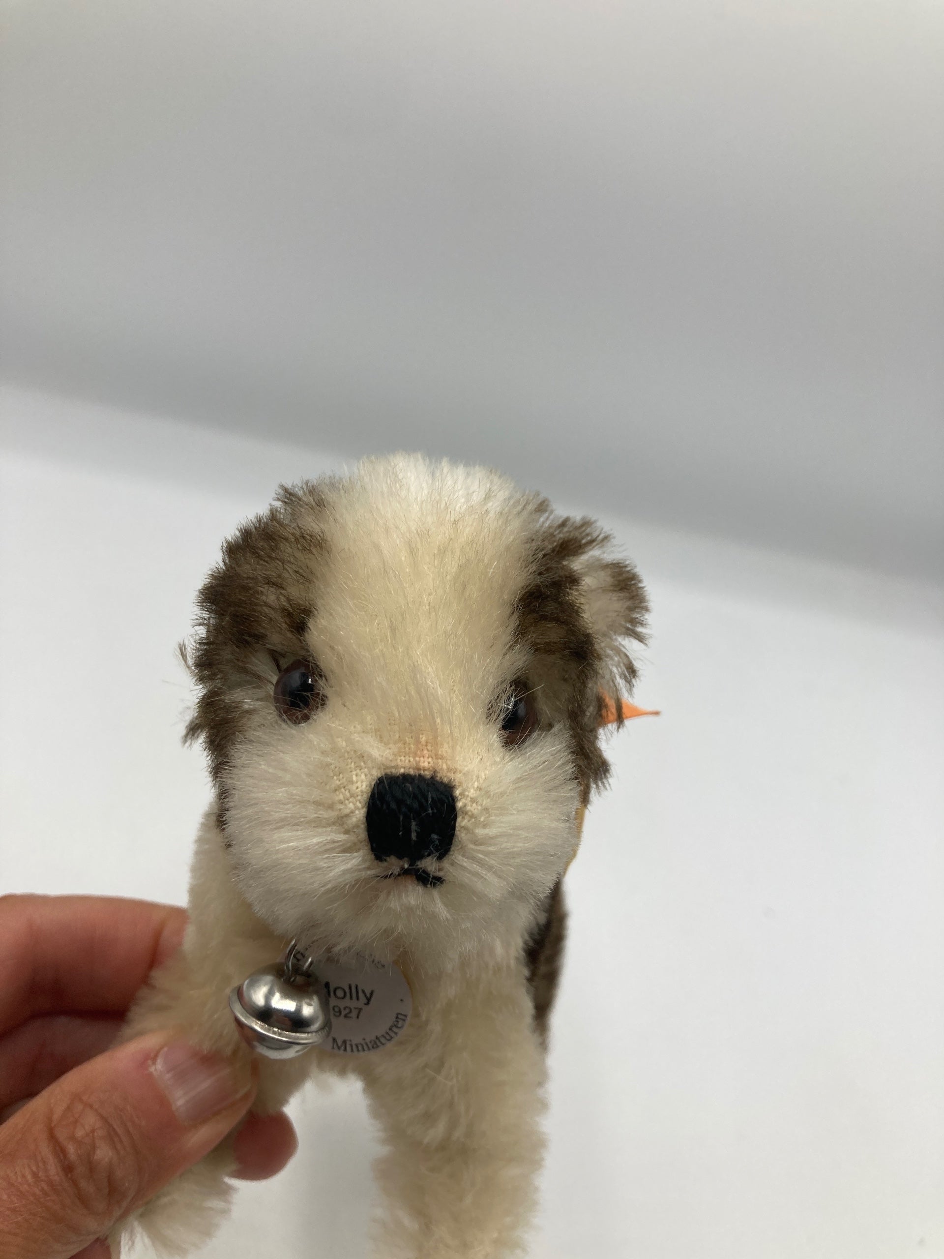 Steiff Standing 1927 Molly The Puppy Replica With All IDs | My Site