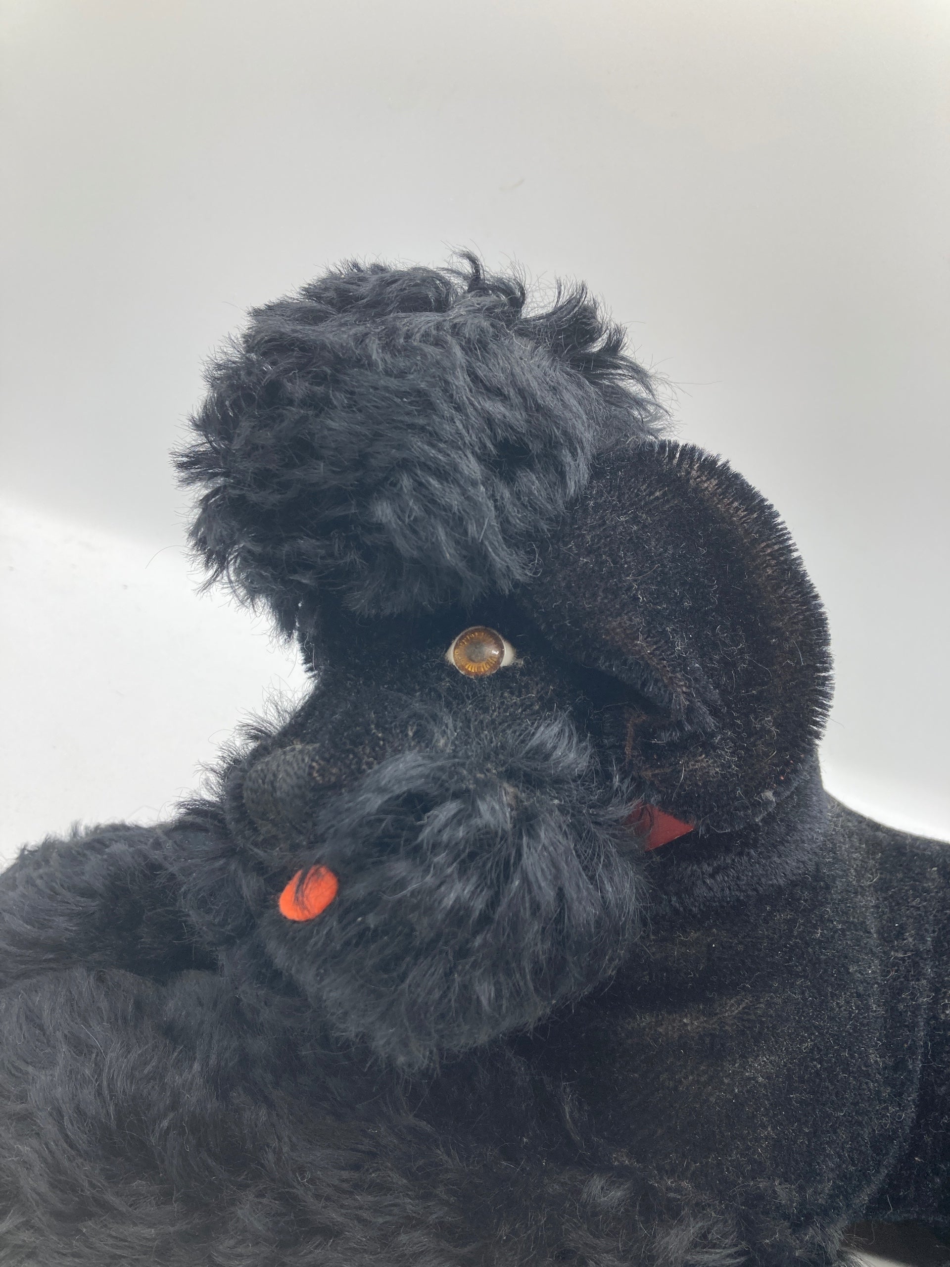 Steiff プードル Snobby 黒オールID Steiff Lying Black Mohair Snobby Poodle With All IDs | My Site