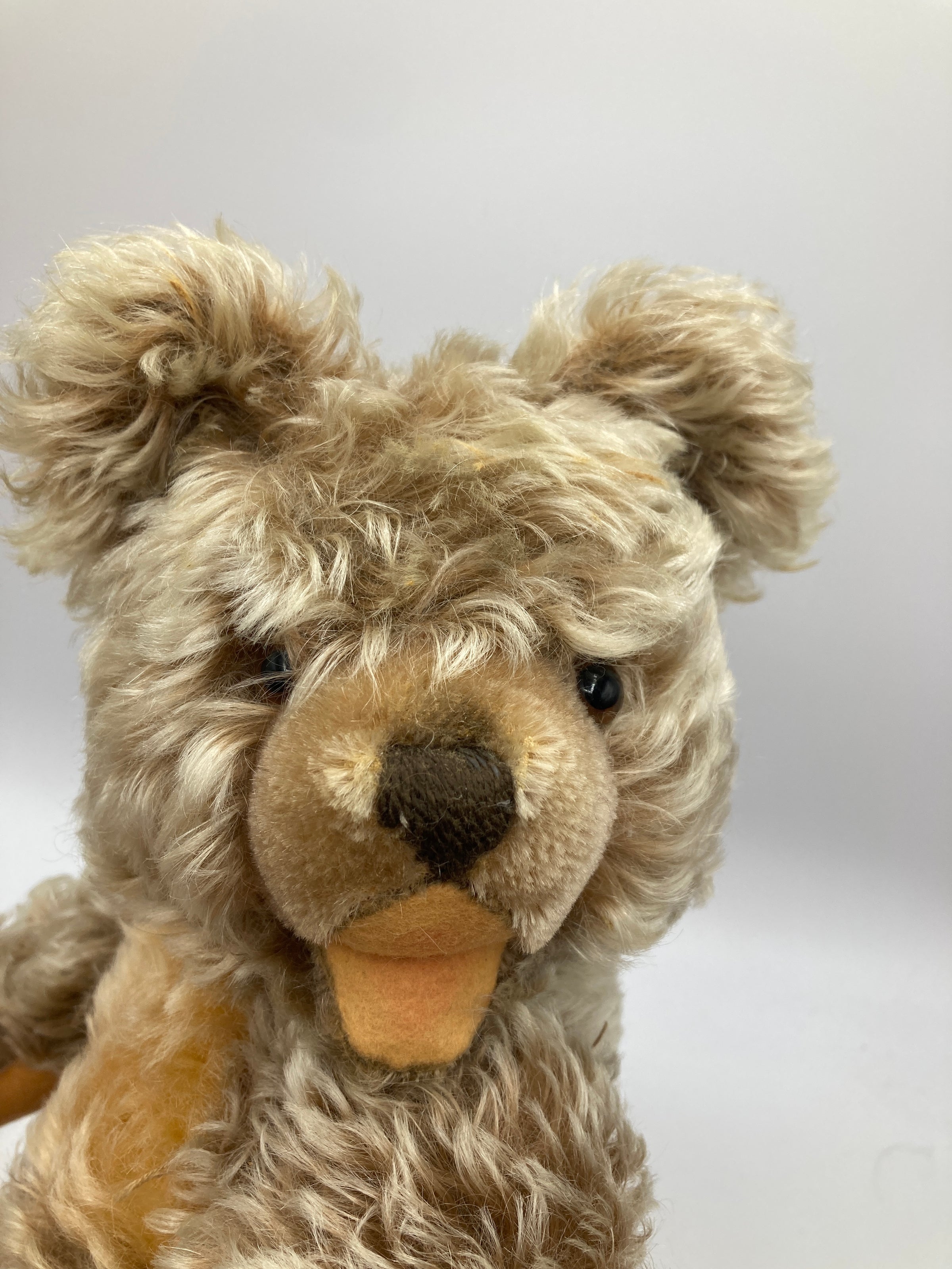 Steiff Medium Sized Mohair Zotty Teddy Bear | My Site