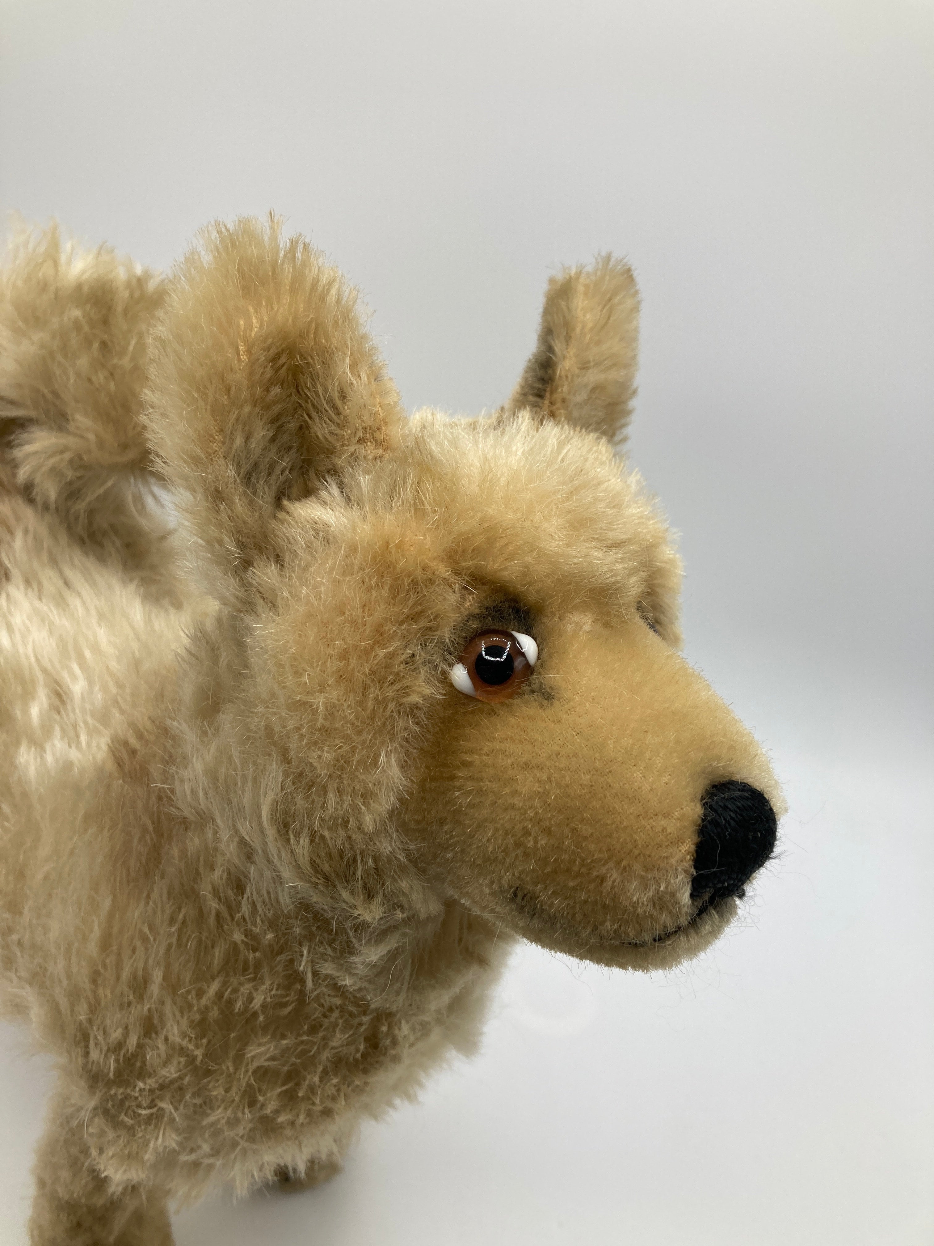 Steiff Largest And Incredibly Rare Mohair Laika the Space Dog | My