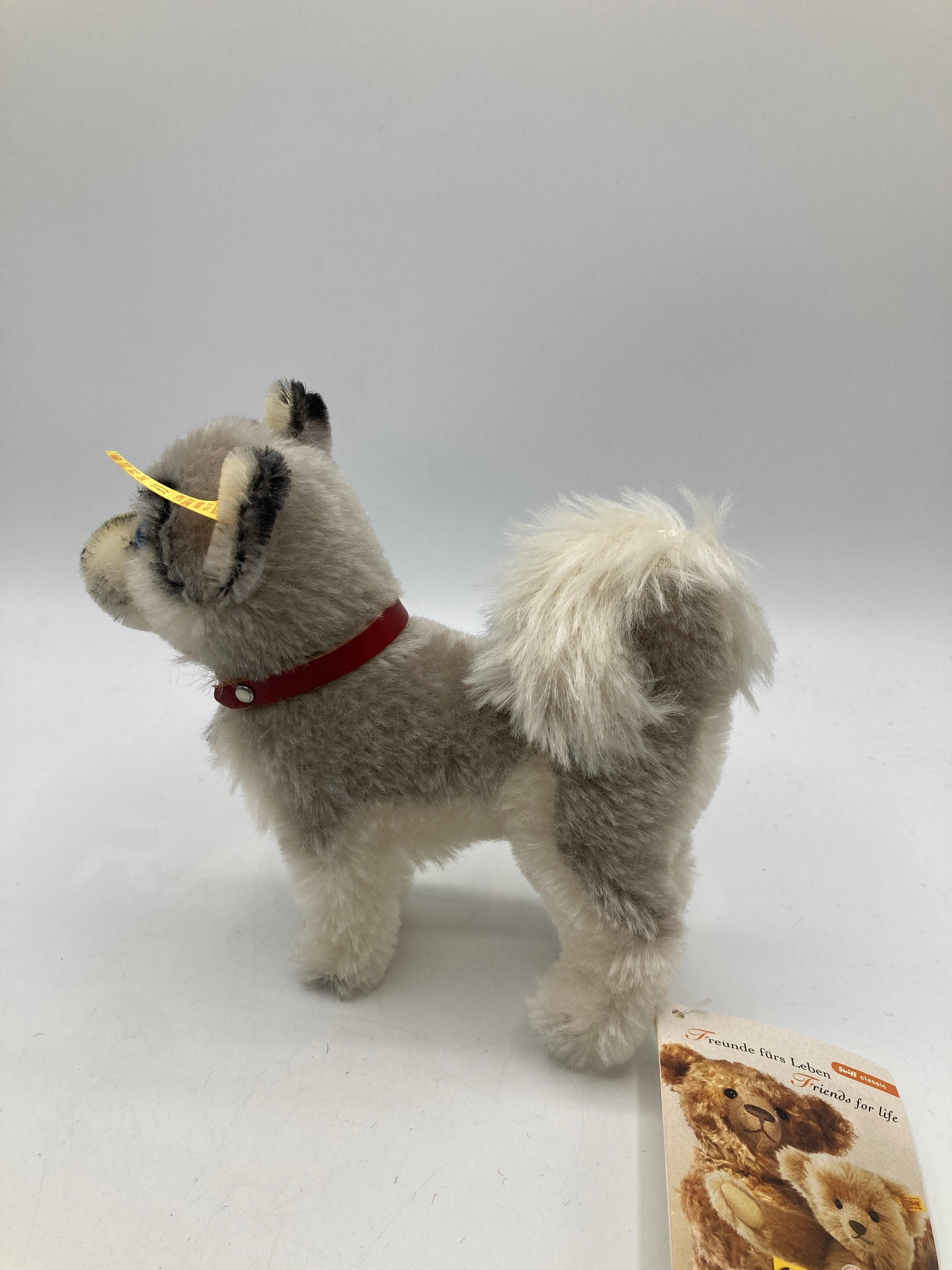 Steiff Mohair White and Grey Whitey Husky Dog with All IDs | My Site
