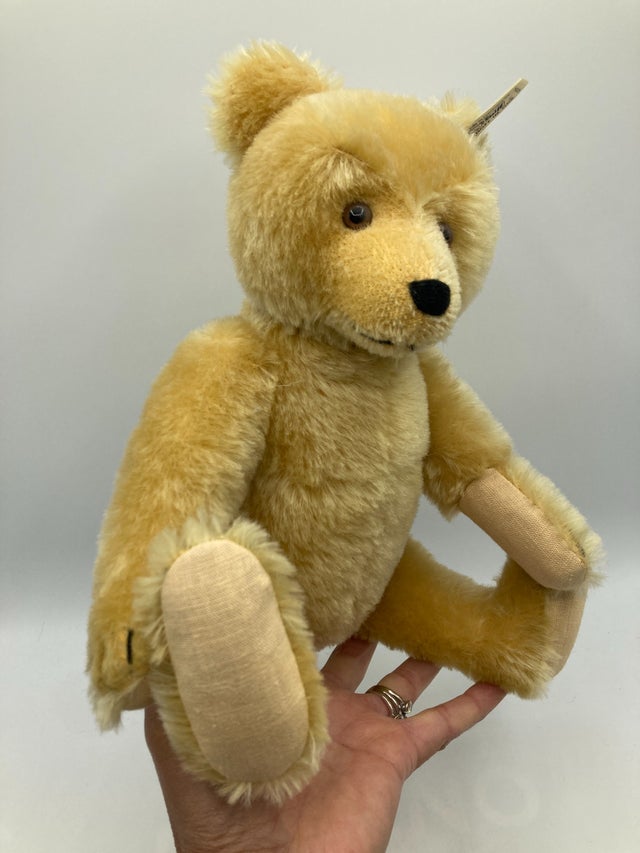 Bears | My Site