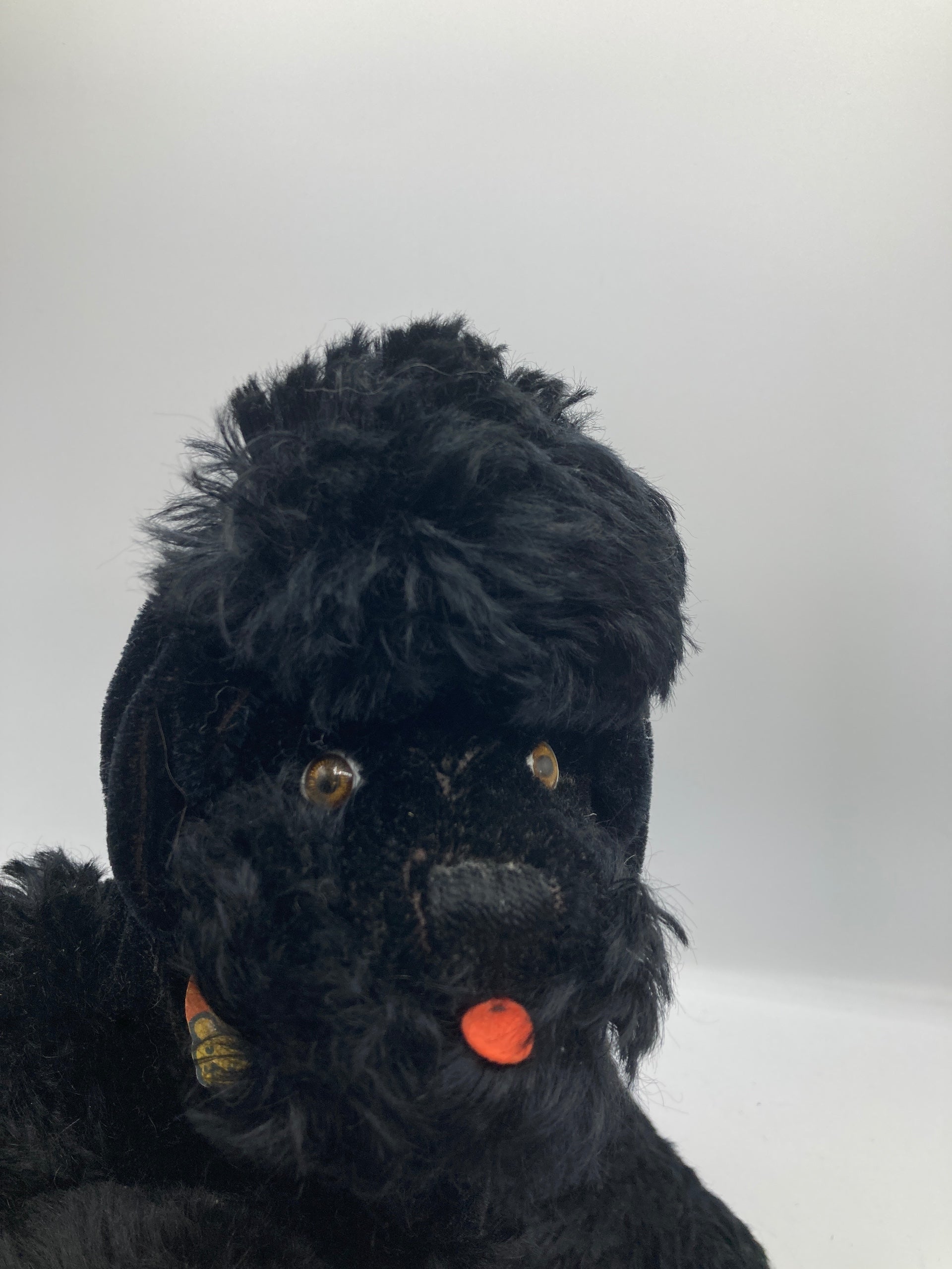 Steiff Lying Black Mohair Snobby Poodle With All IDs | My Site