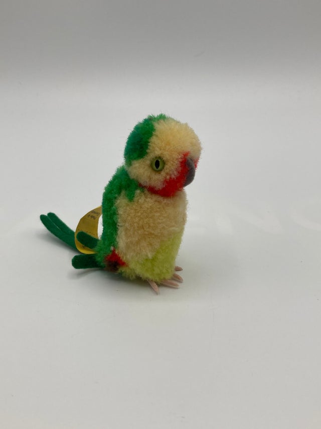 Birds | My Site
