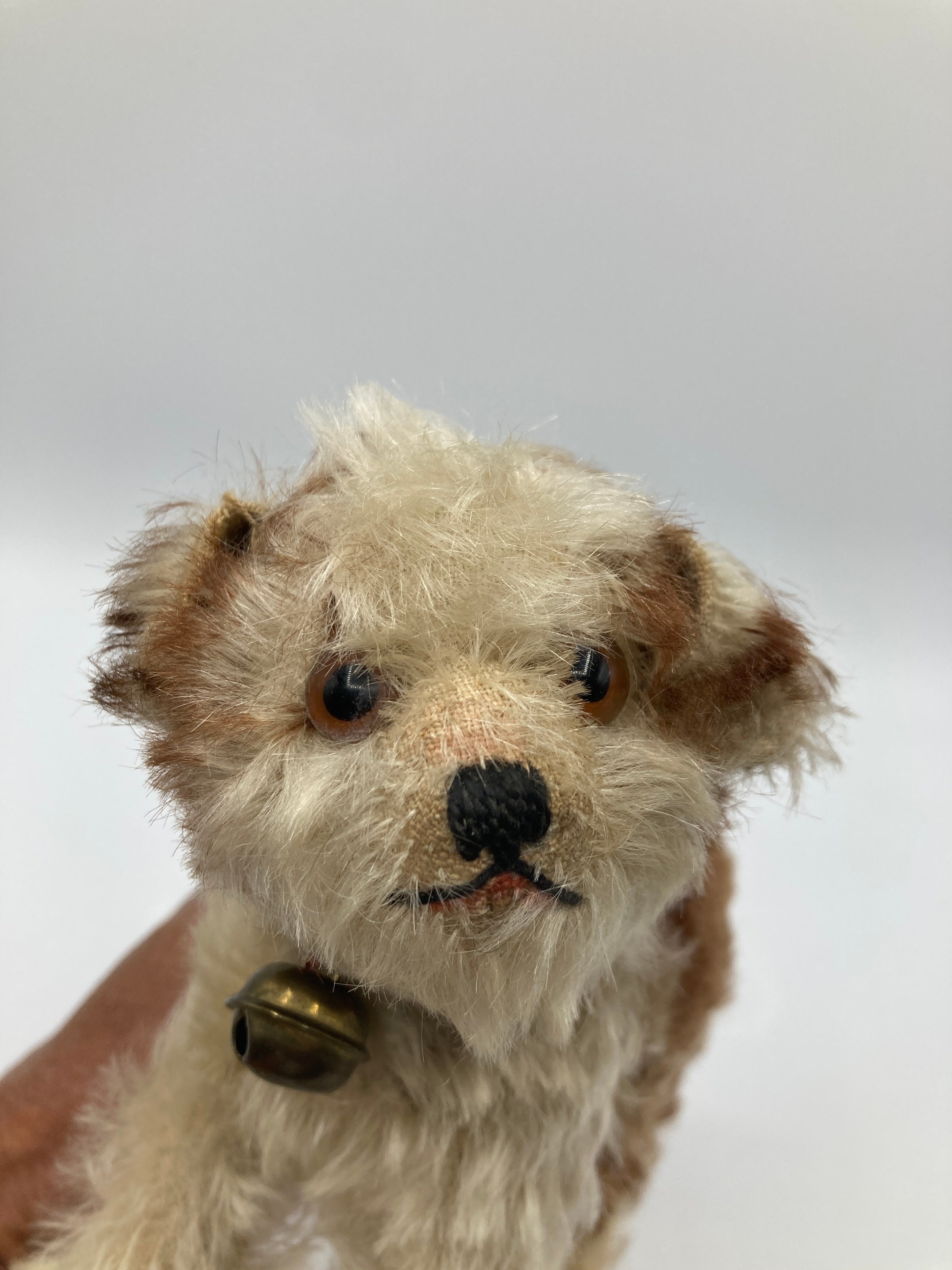 Steiff Prewar Very Rare Medium Sized Standing Molly Dog With ID