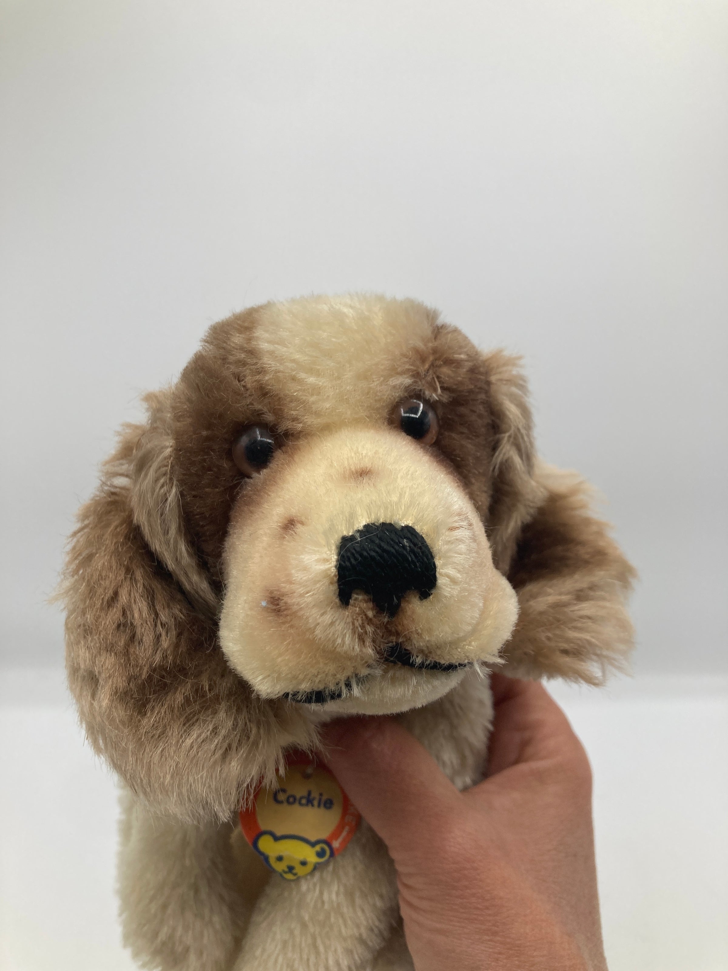 Steiff Mohair Cocker Spaniel Cockie Puppet With All IDs | My Site