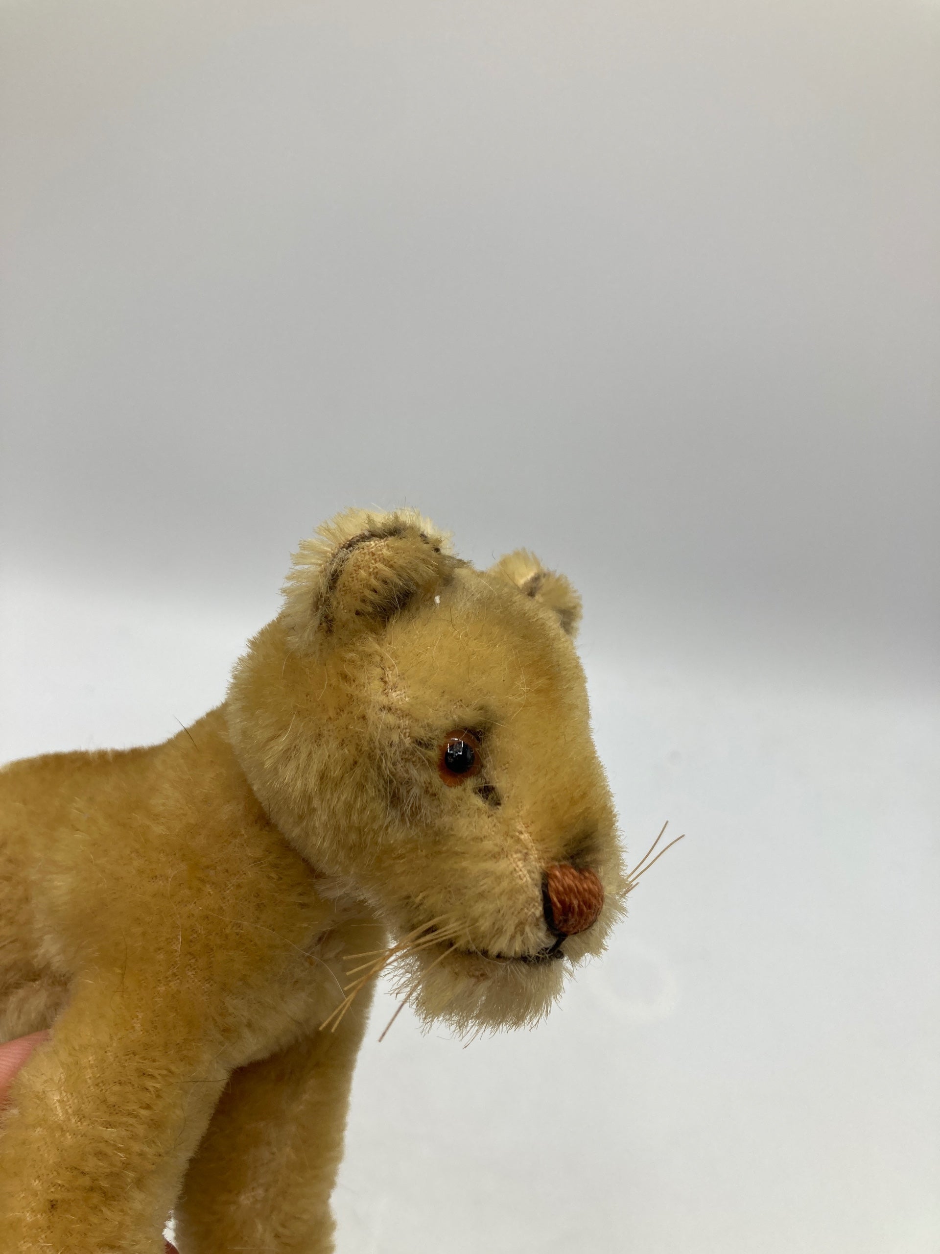 Steiff Lea Lioness | My Site
