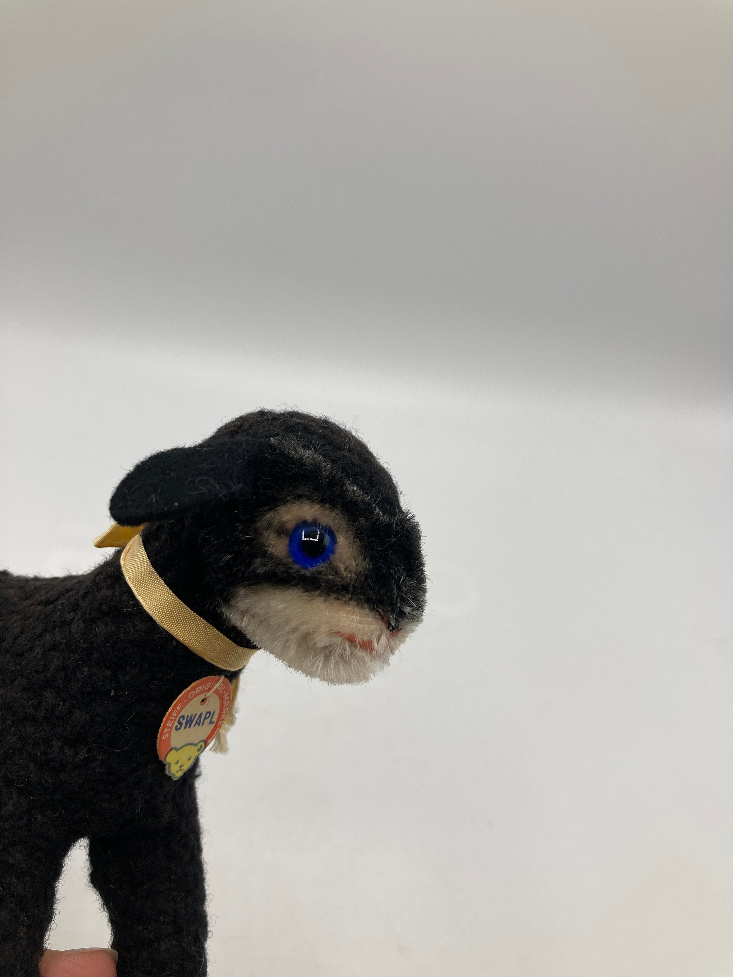 Steiff Medium Sized Swapl Lamb With All | My Site