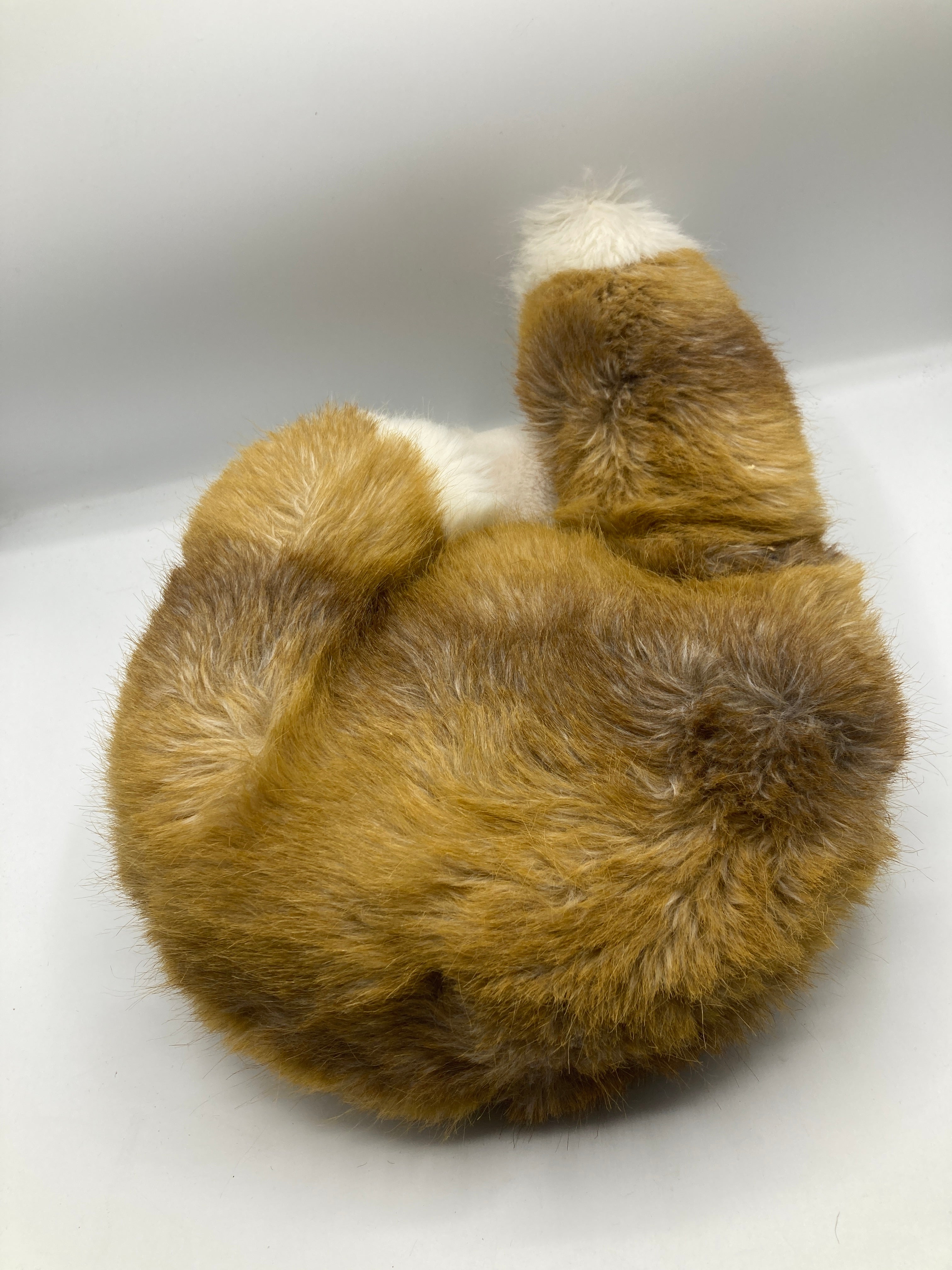 Steiff's Soft Plush Curled Up Fuzzy Fox With All IDs | My Site
