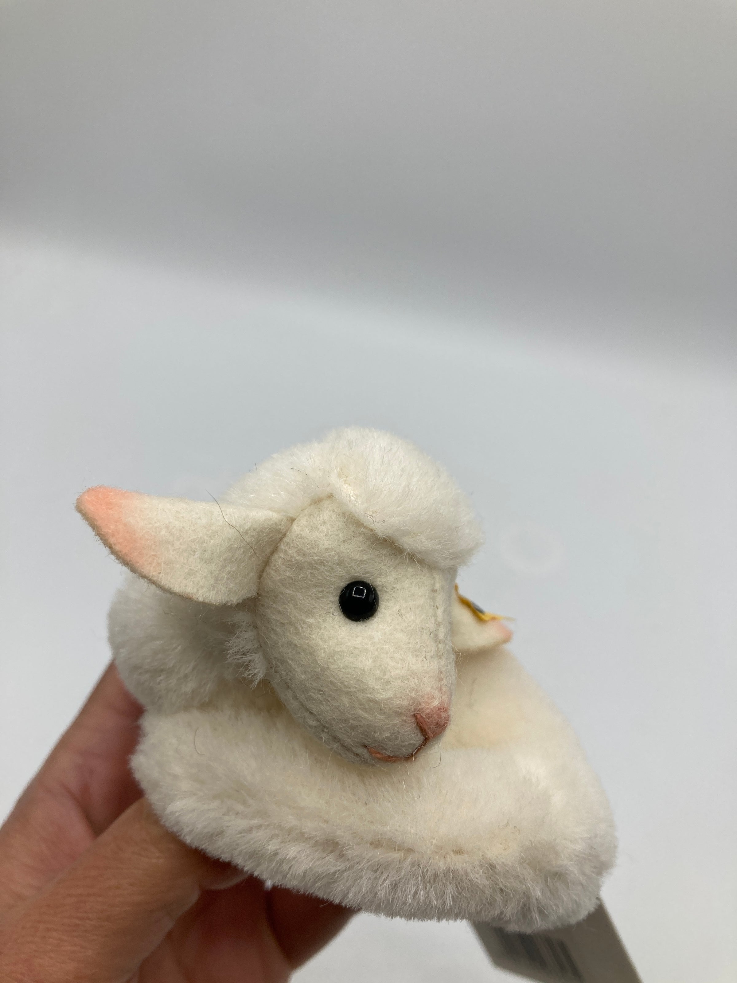 Steiff Mini Lamby Lamb With All IDs | My Site