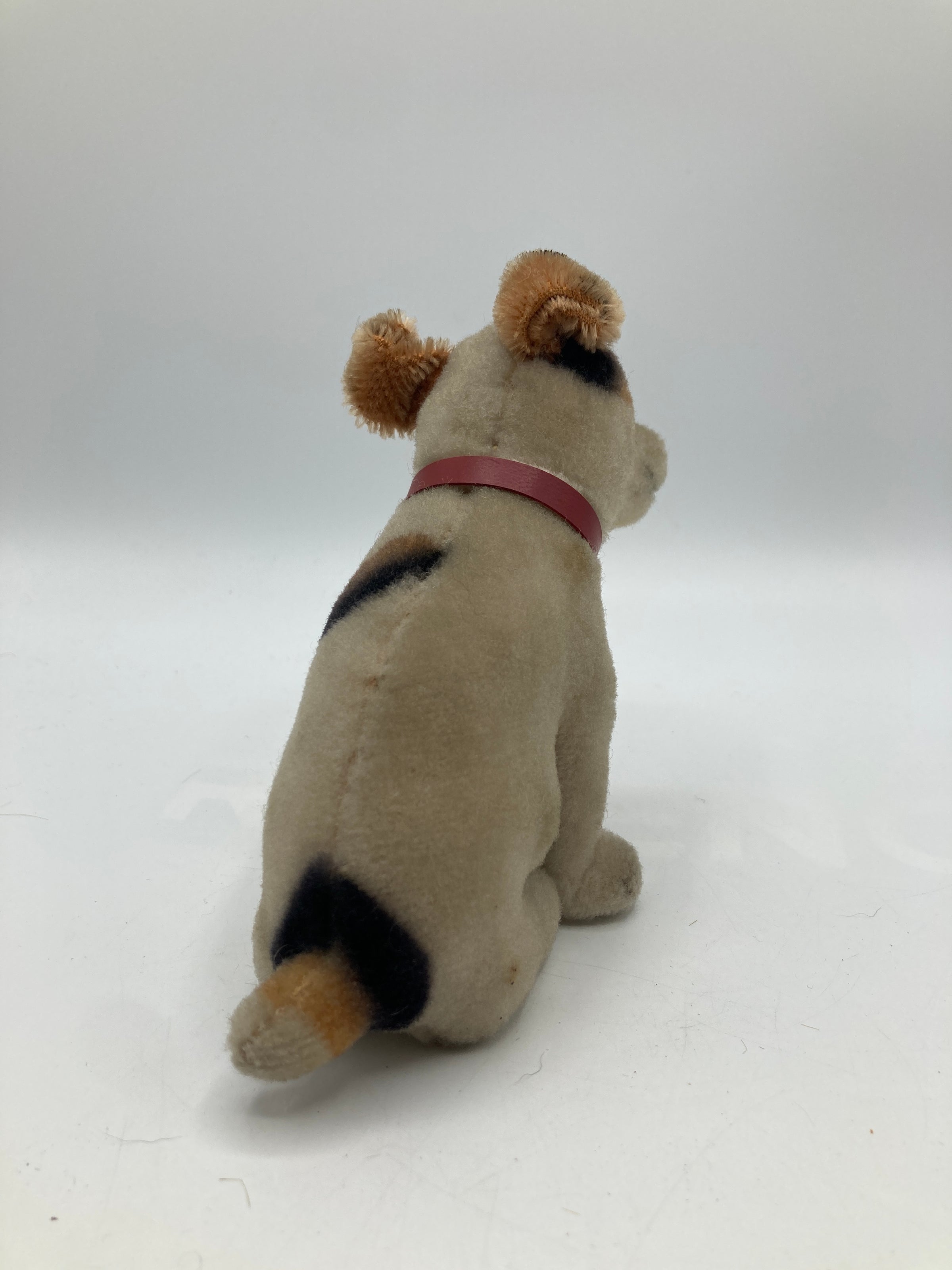 Steiff Smallest and Extremely Rare HMV Electrola Fox Dog With ID
