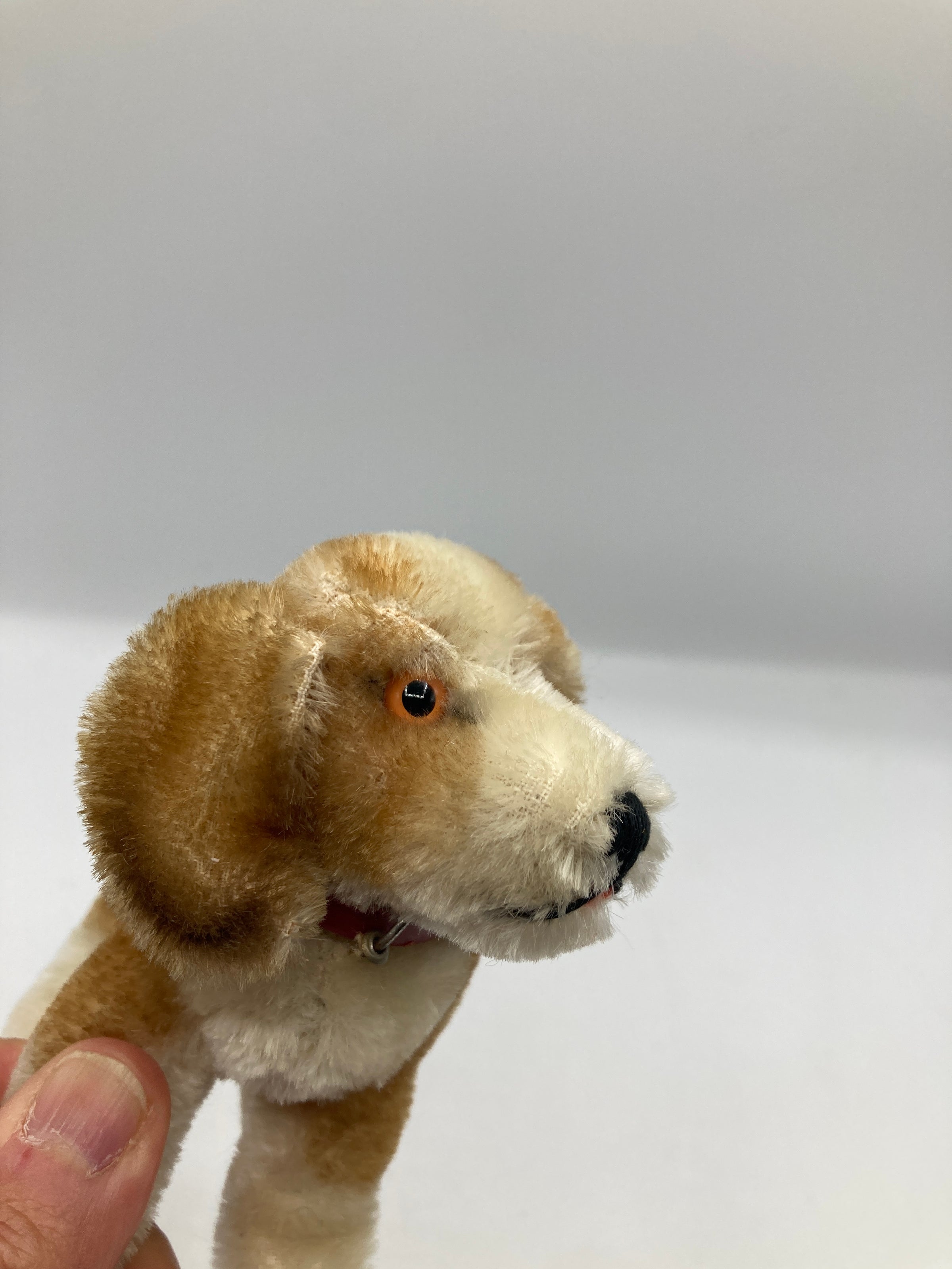 Steiff Smallest Sitting Biggie Beagle With IDs | My Site