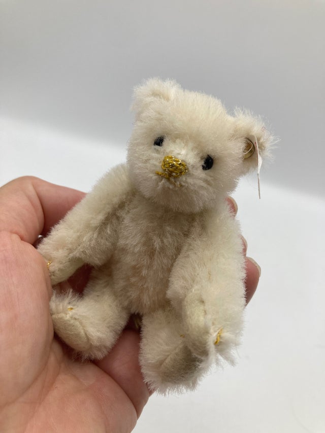 Bears | My Site