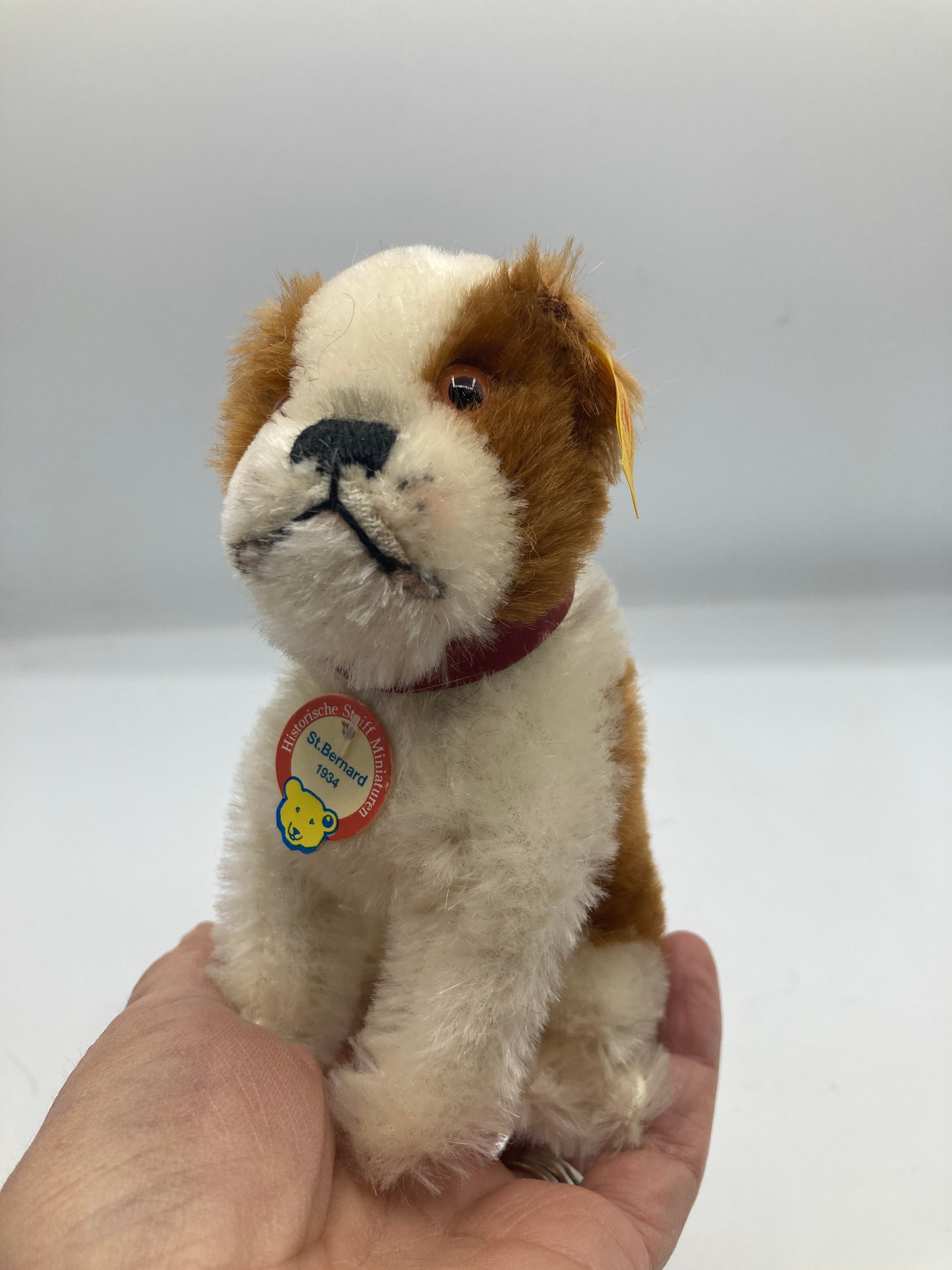 Steiff Mohair 1934 St. Bernard Dog With All IDs | My Site