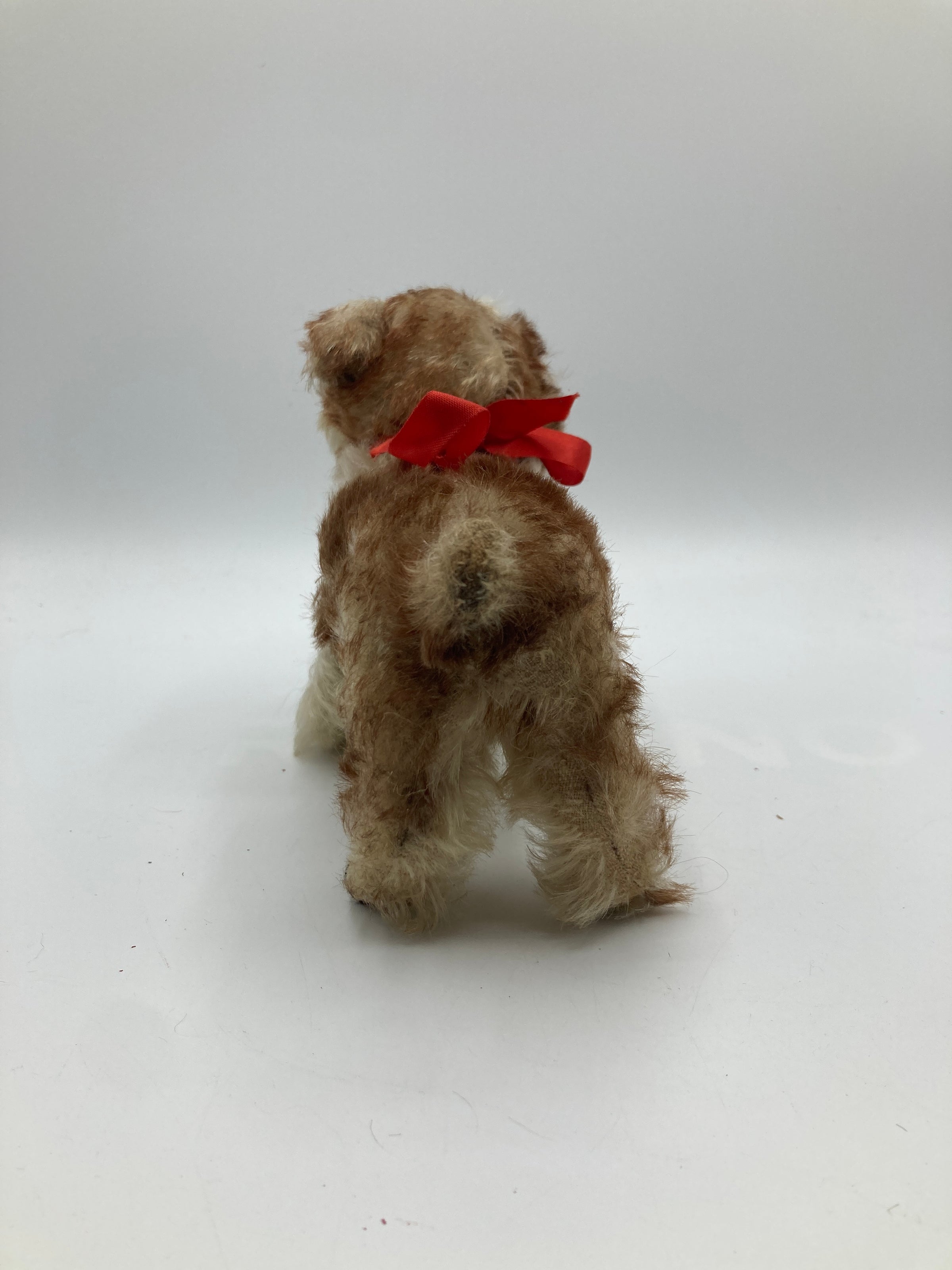 Steiff Prewar Very Rare Medium Sized Standing Molly Dog With ID