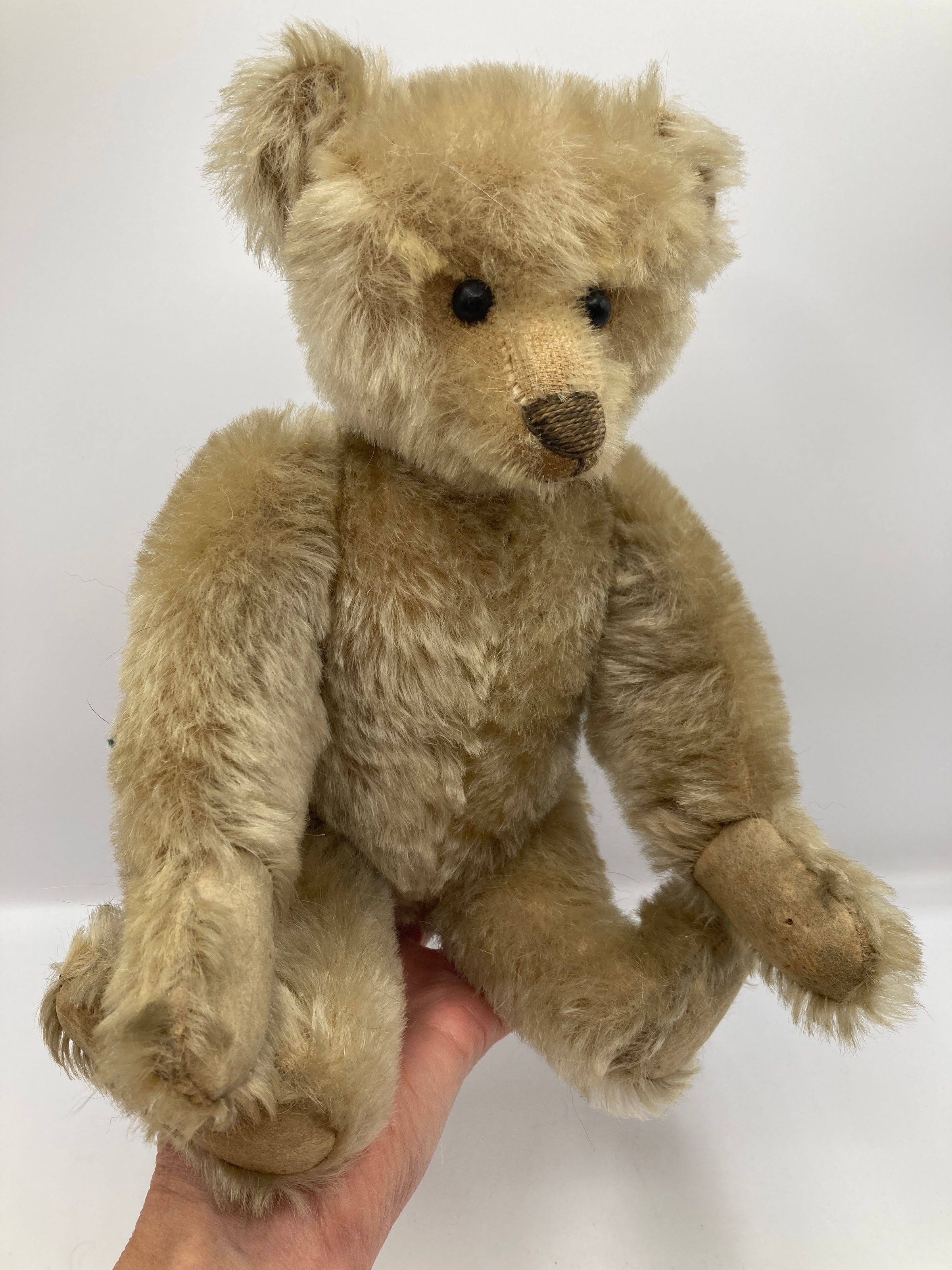 My SteiffLife | My Site