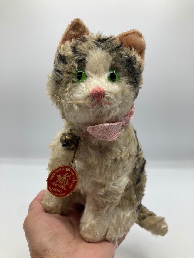 Cats | My Site