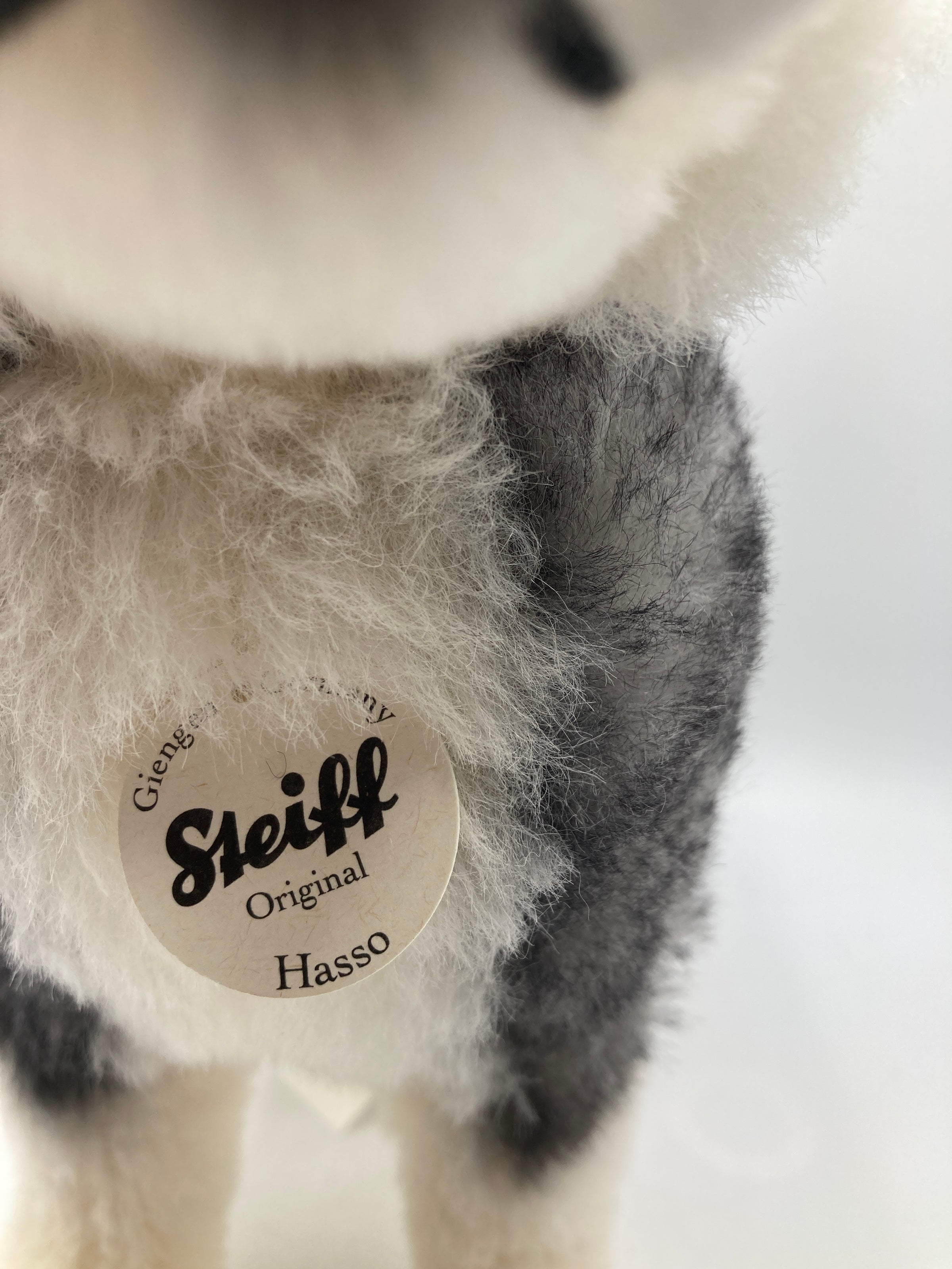 Steiff Hasso Husky Alpaca Dog with All IDs | My Site Steiff Hasso Husky Alpaca Dog with All IDs | My Site