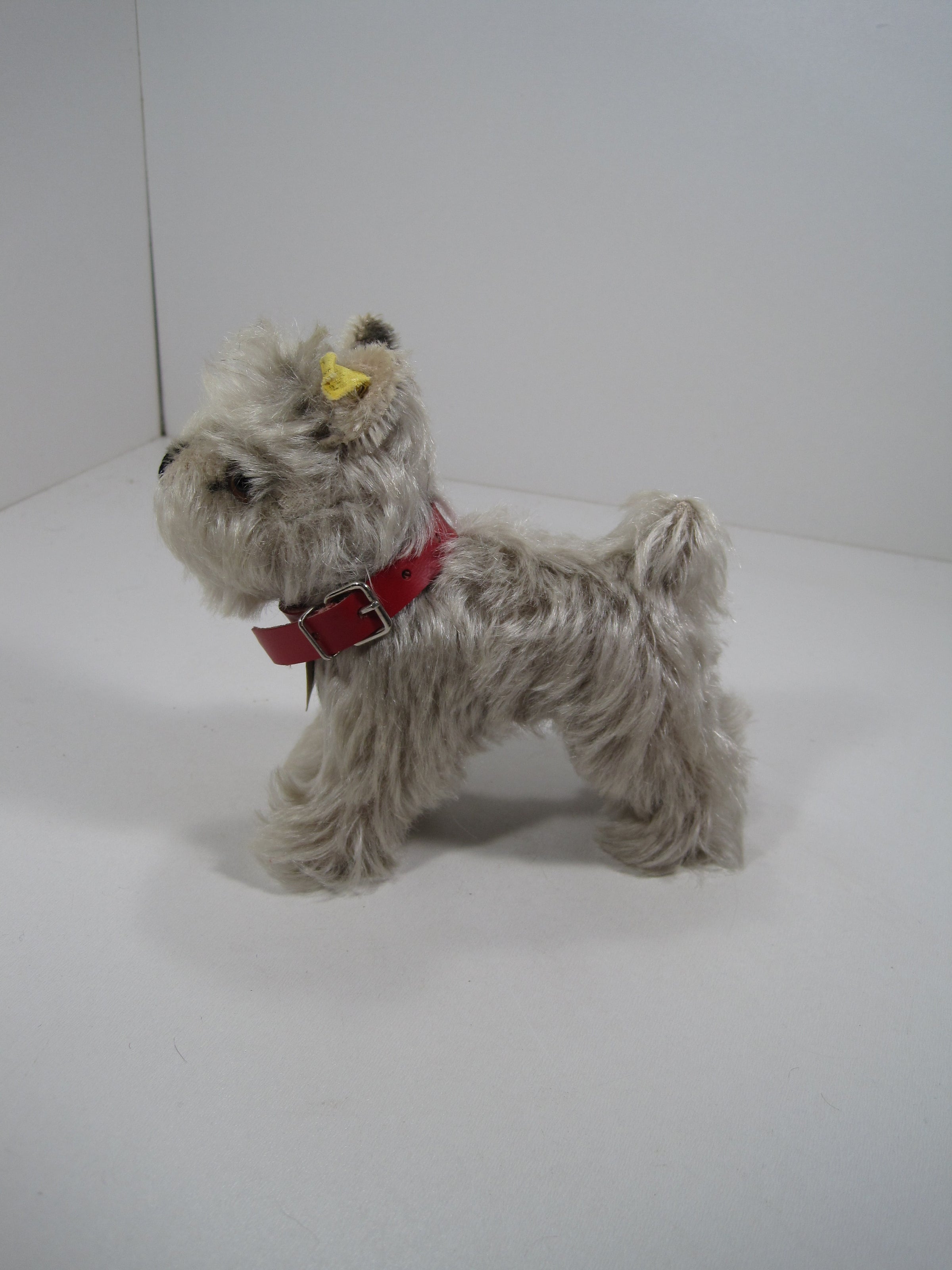 Steiff Medium Tessie Schnauzer Dog With All IDs | My Site Steiff Medium Tessie Schnauzer Dog With All IDs | My Site