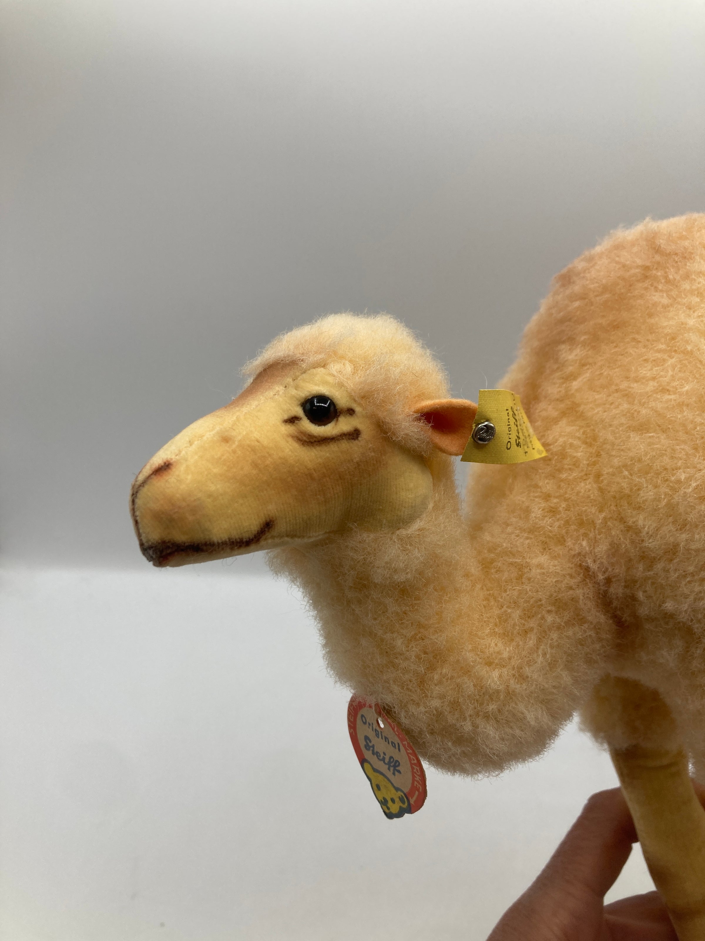 Steiff Almost Largest Wool Plush and Velvet Camel With All IDs