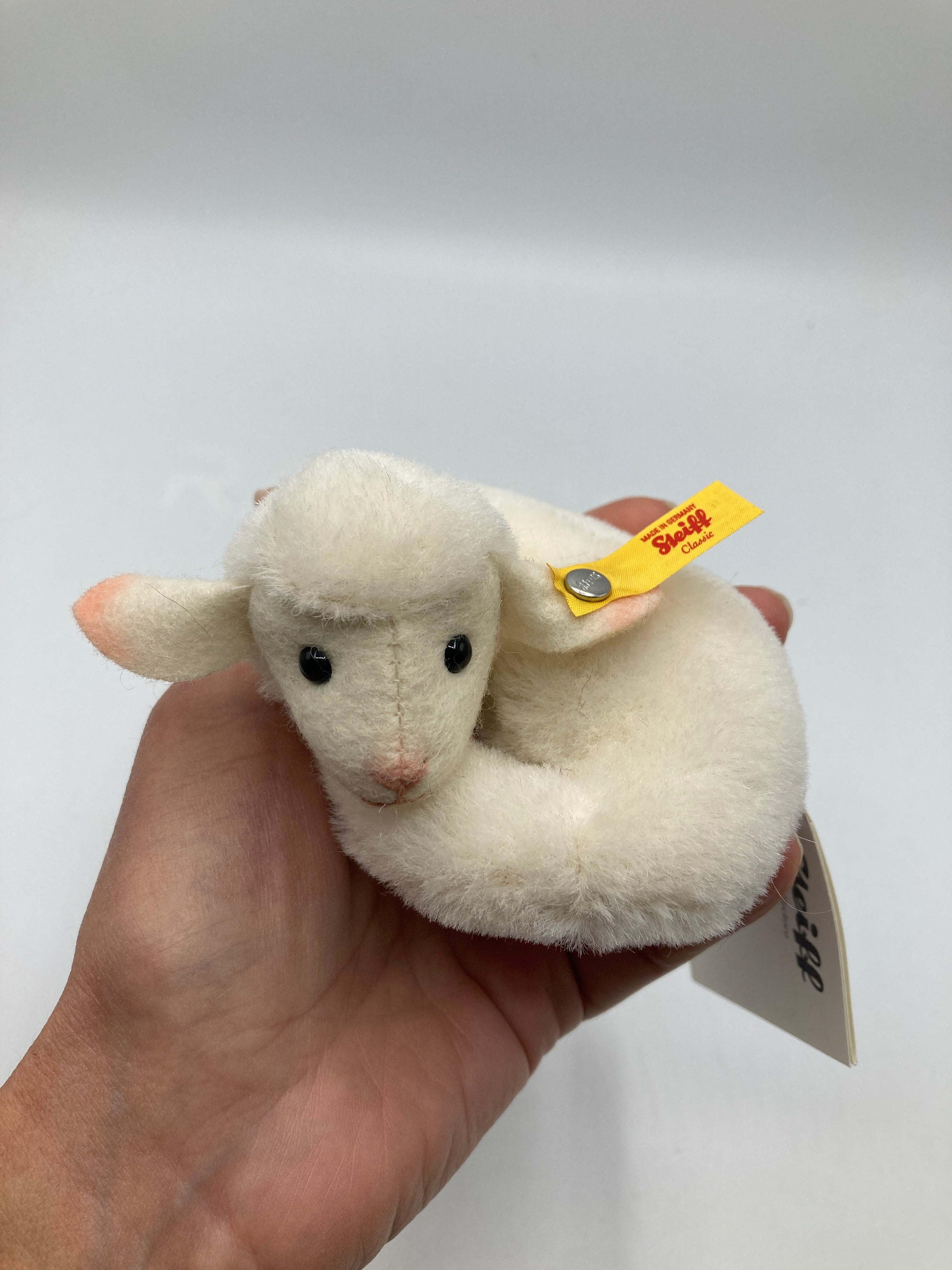 Steiff Mini Lamby Lamb With All IDs | My Site