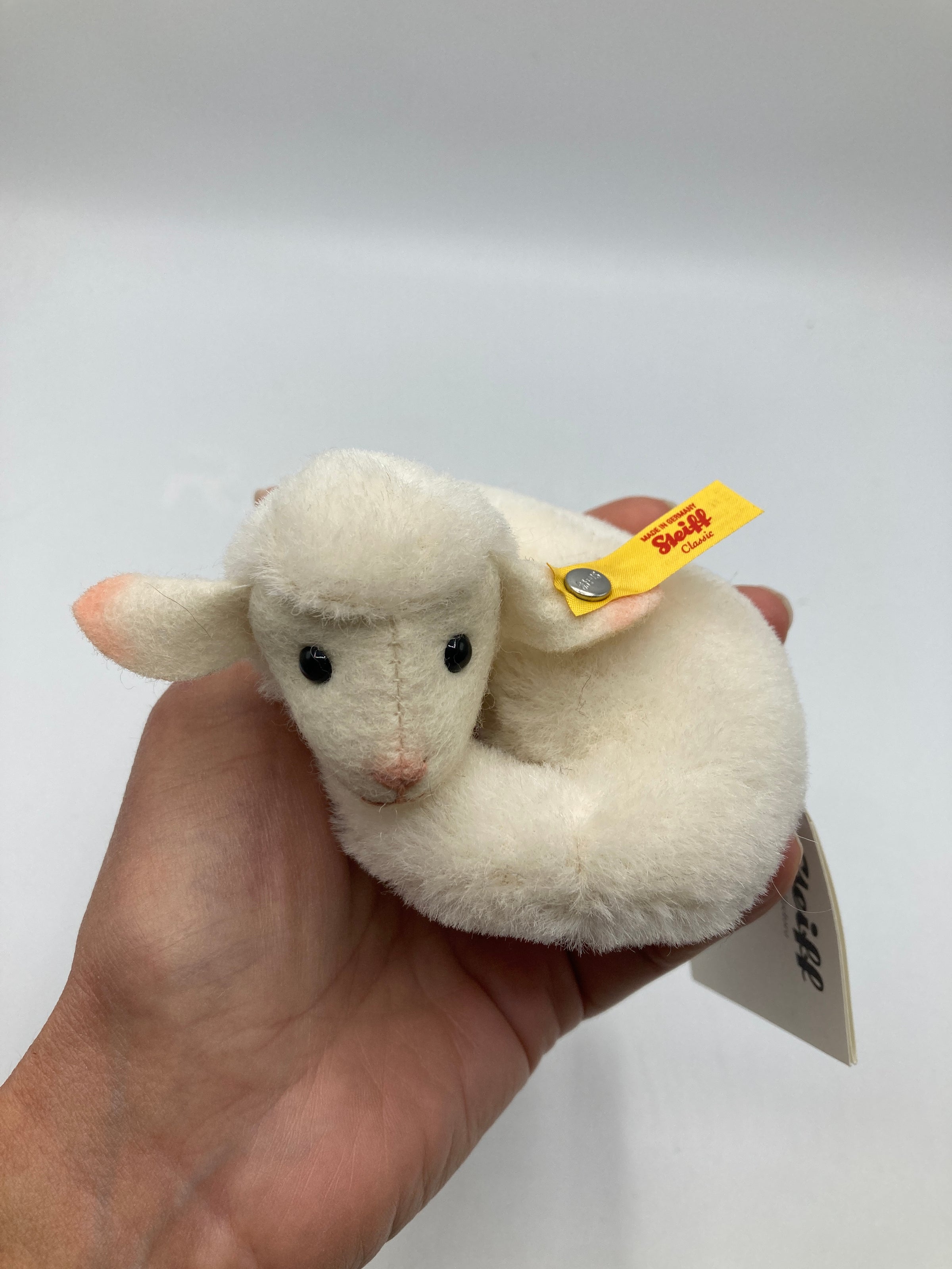 Steiff Mini Lamby Lamb With All IDs | My Site