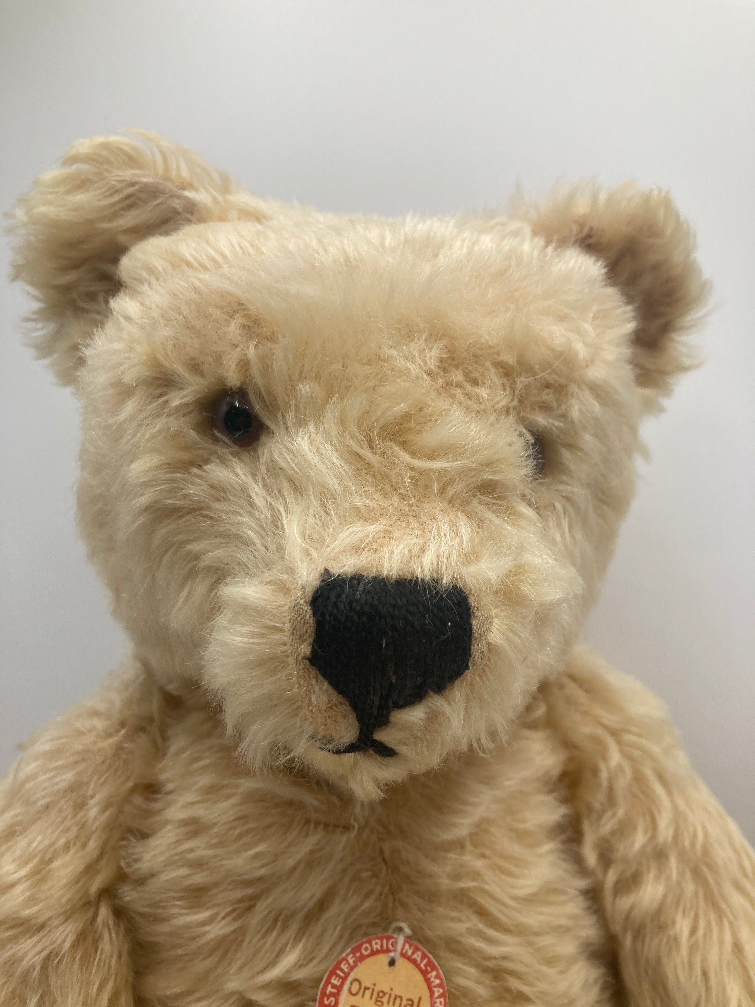 Steiff Large Blonde Midcentury Original Teddy Bear With ID | My Site