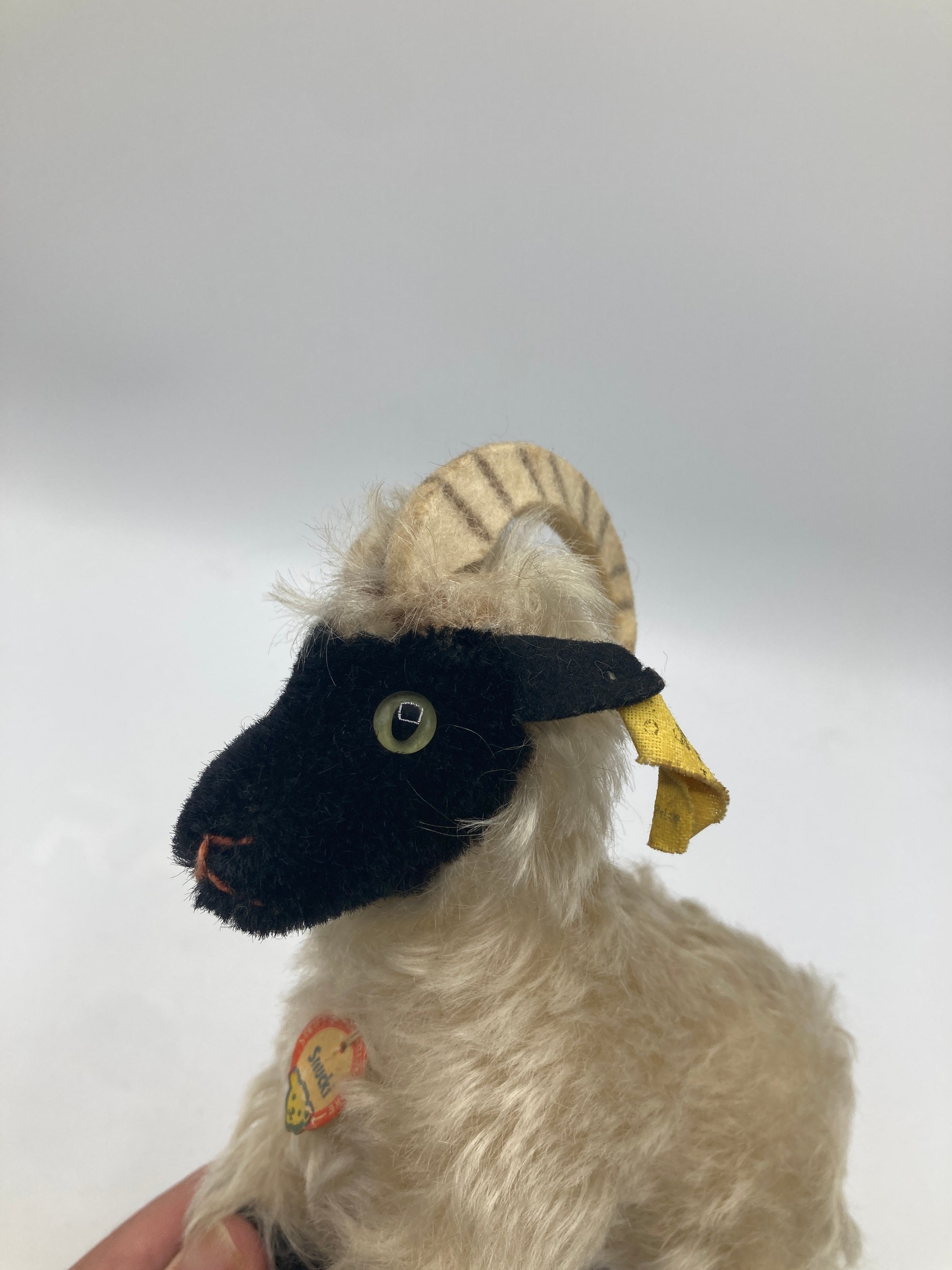 Steiff Medium Sized Snucki Mountain Sheep With All IDs | My Site