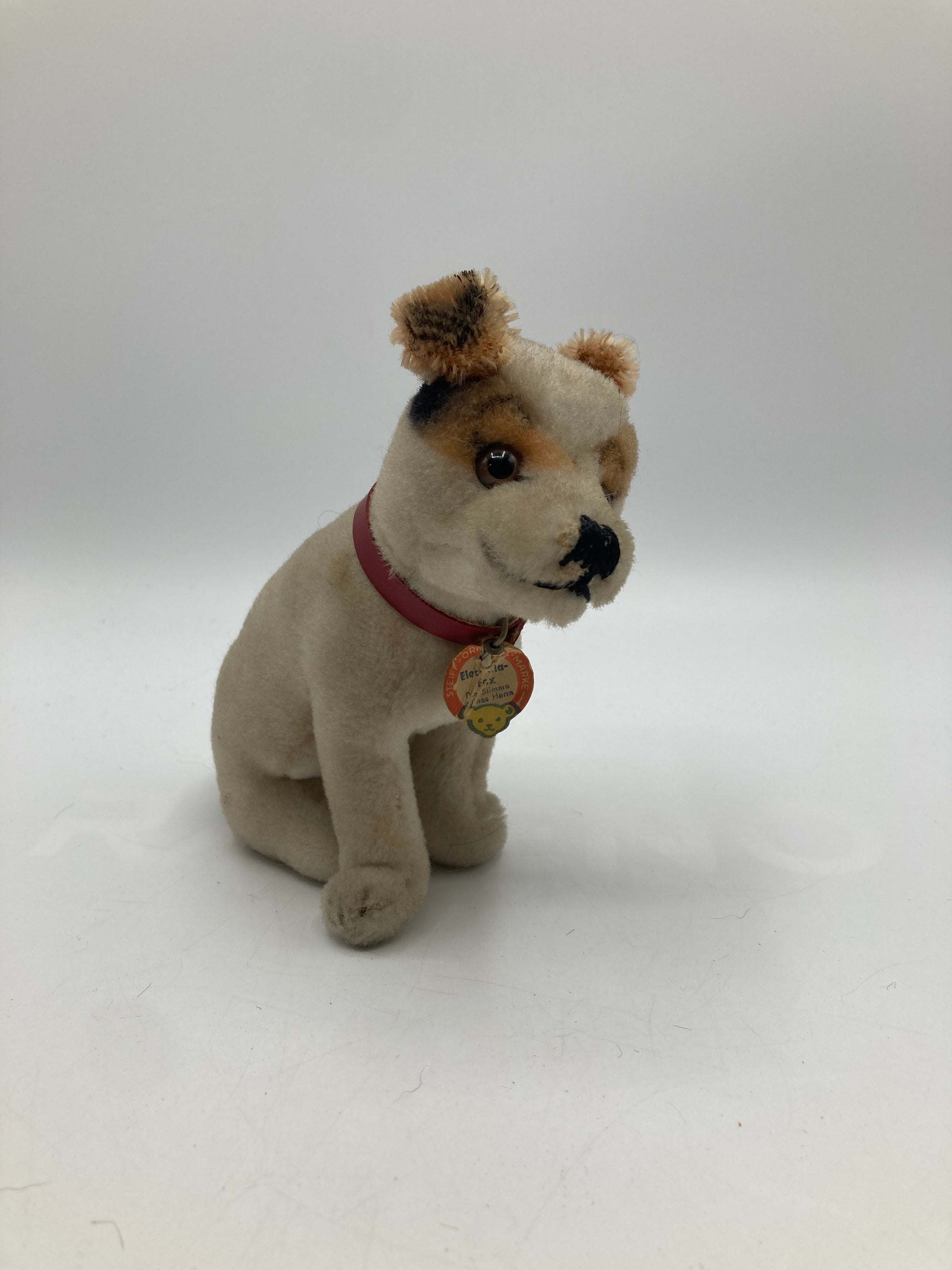 Steiff Smallest and Extremely Rare HMV Electrola Fox Dog With ID