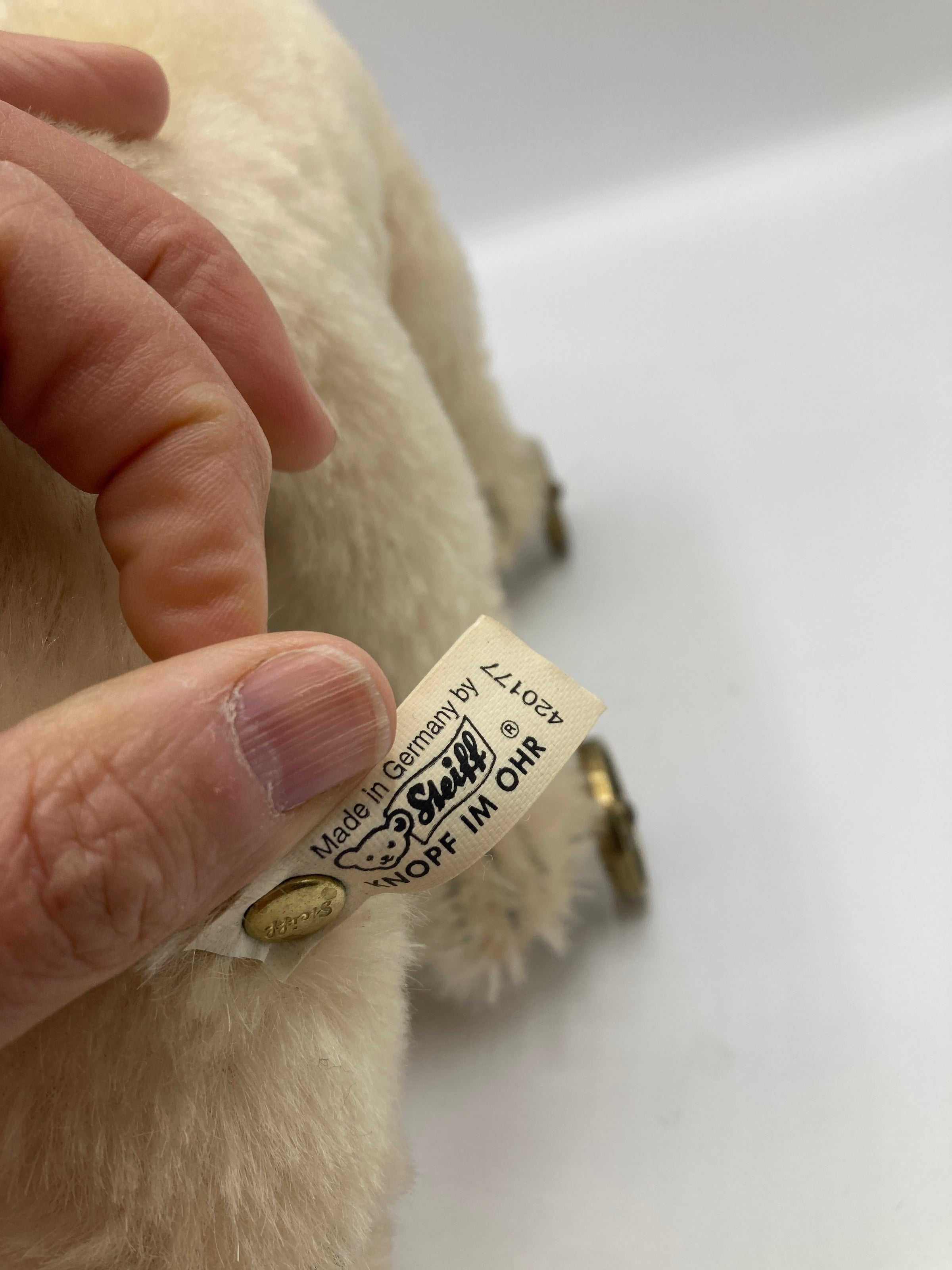 Steiff White Mohair Polar Bear on Wheels Replica With All IDs | My
