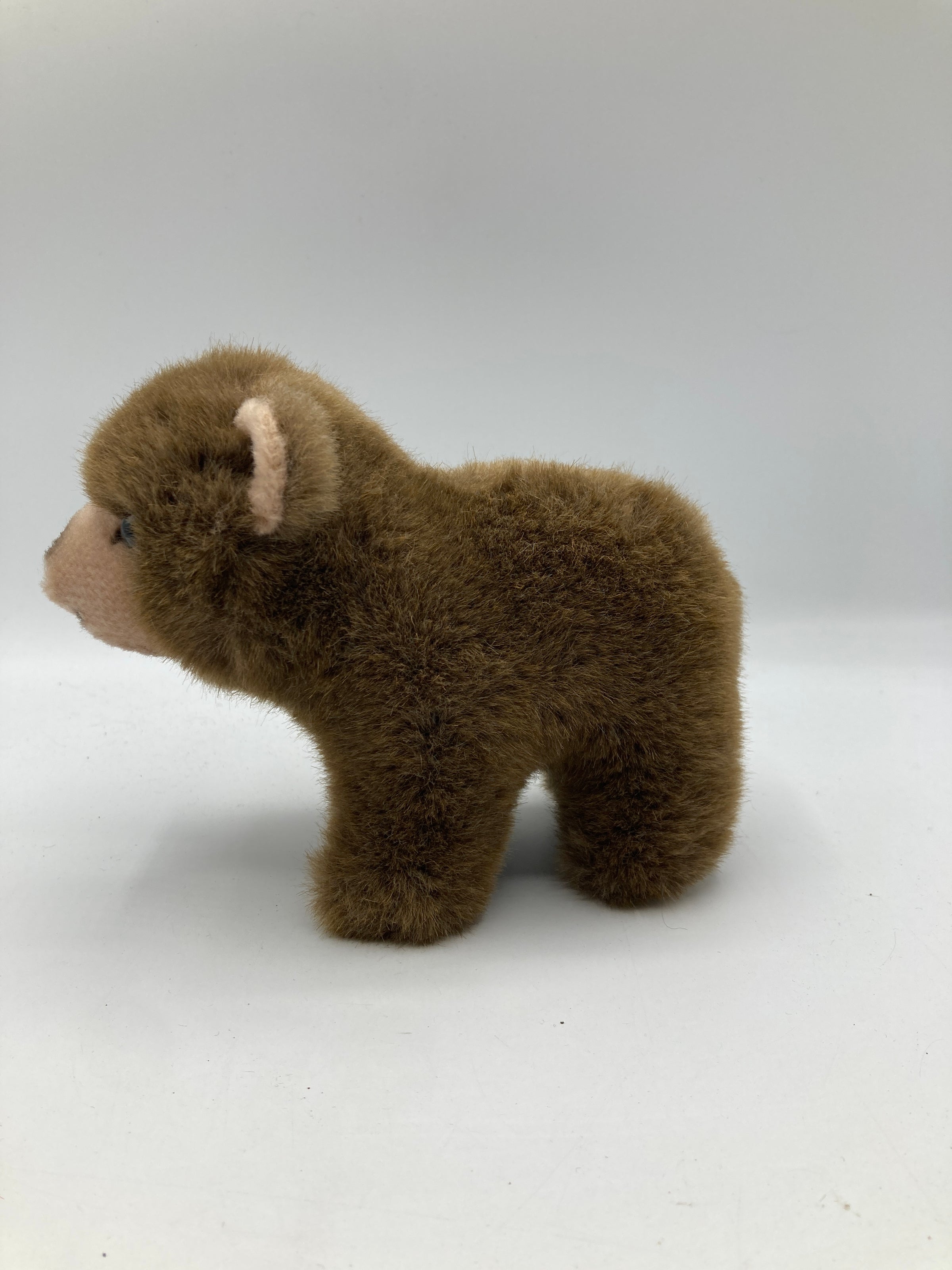Steiff Standing Soft Plush Browny Bear With All IDs | My Site