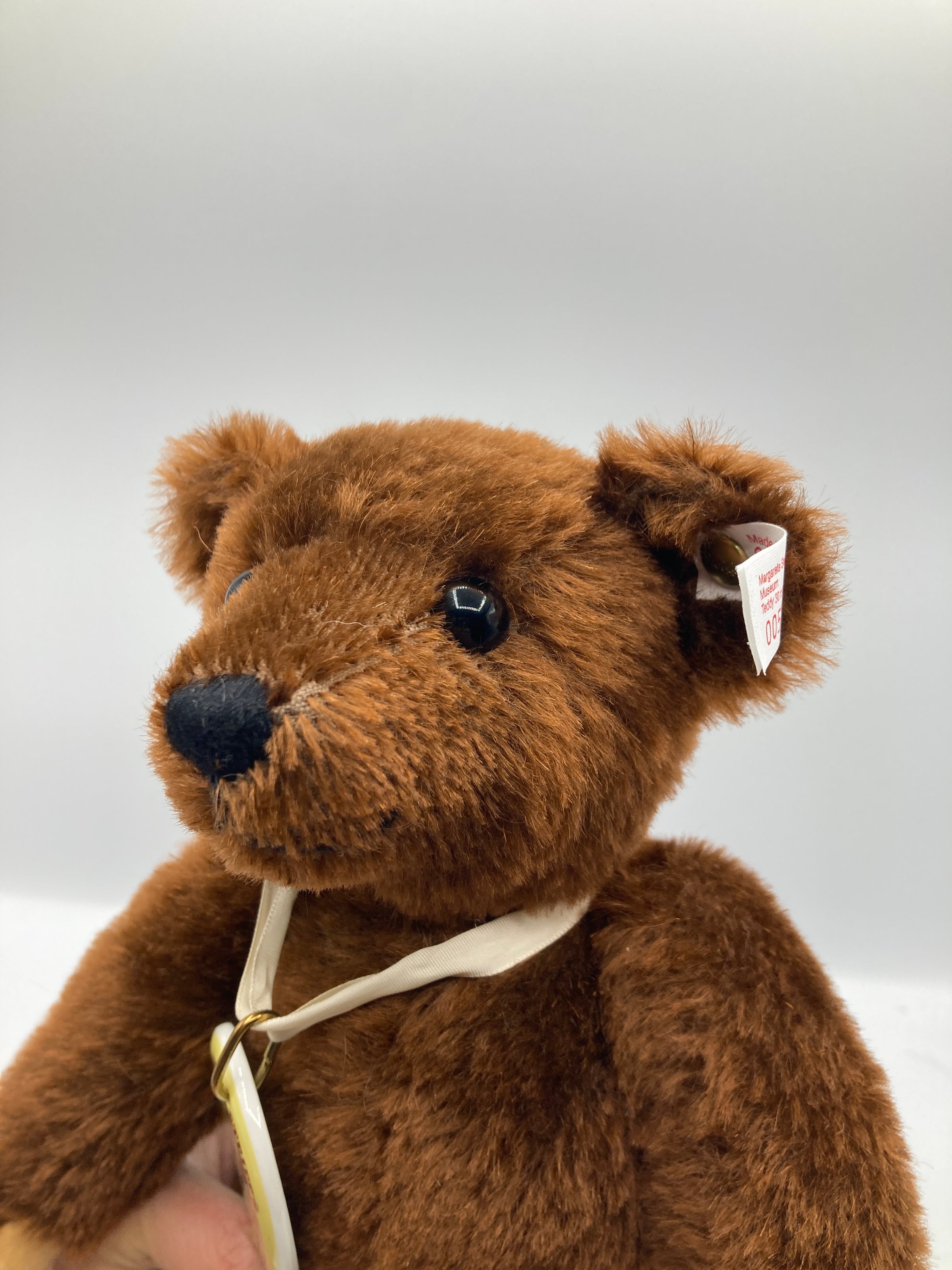 Steiff Museum Exclusive Teddy Bear With All IDs | My Site