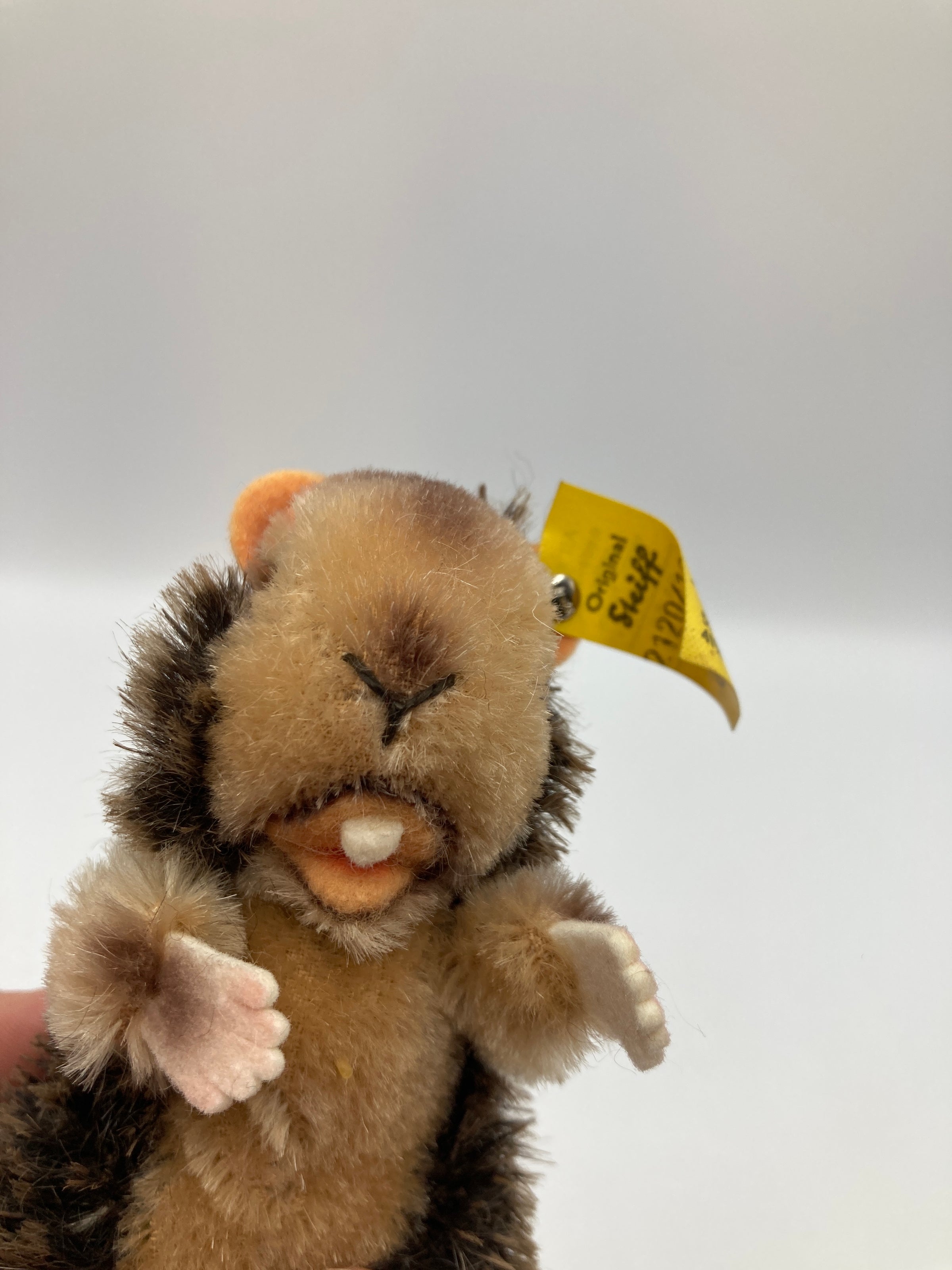 Steiff Smallest Nagy Beaver With IDs | My Site
