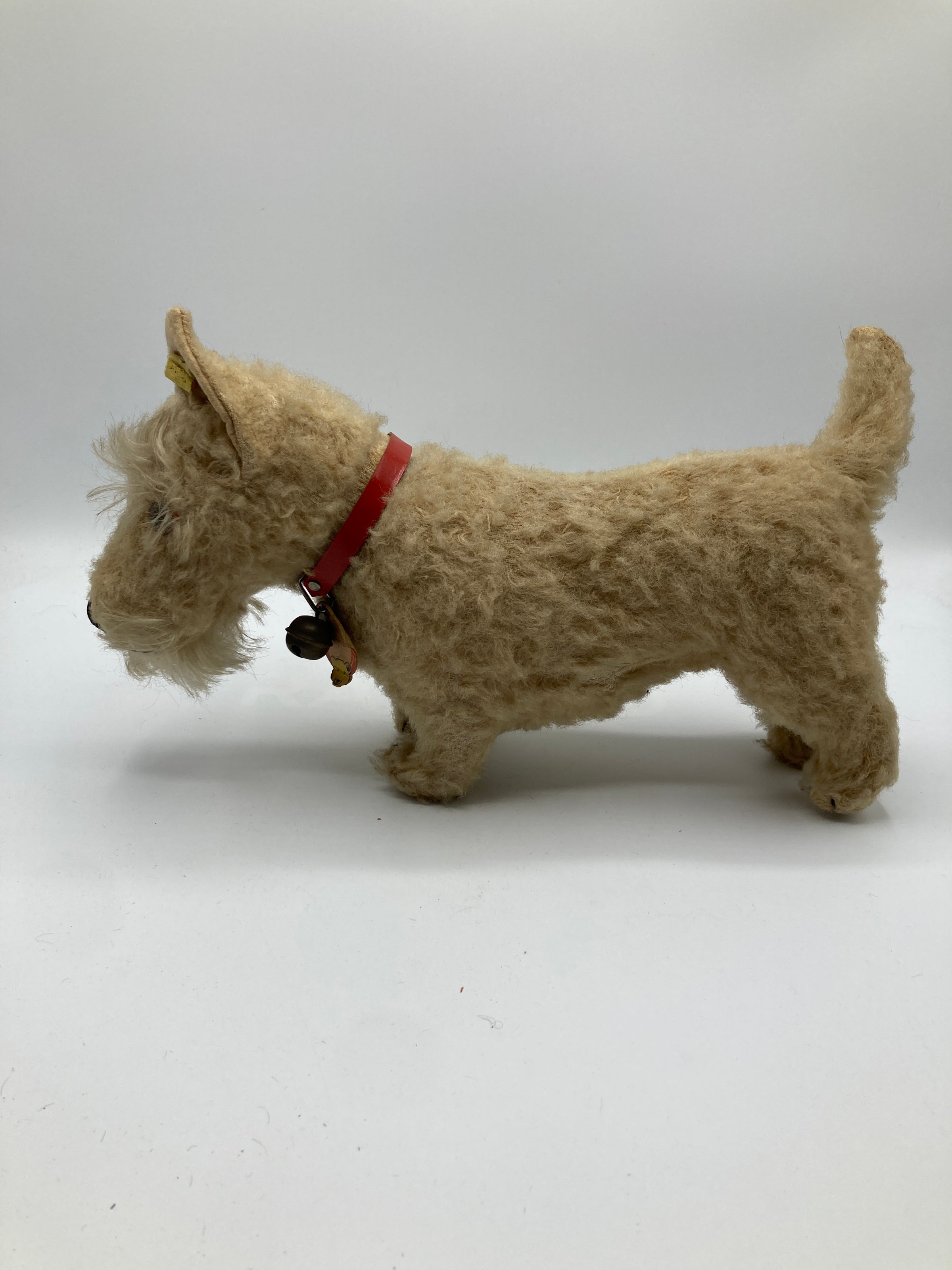 Steiff Wartime Era White Wool Plush Sealyham Dog With All IDs | My