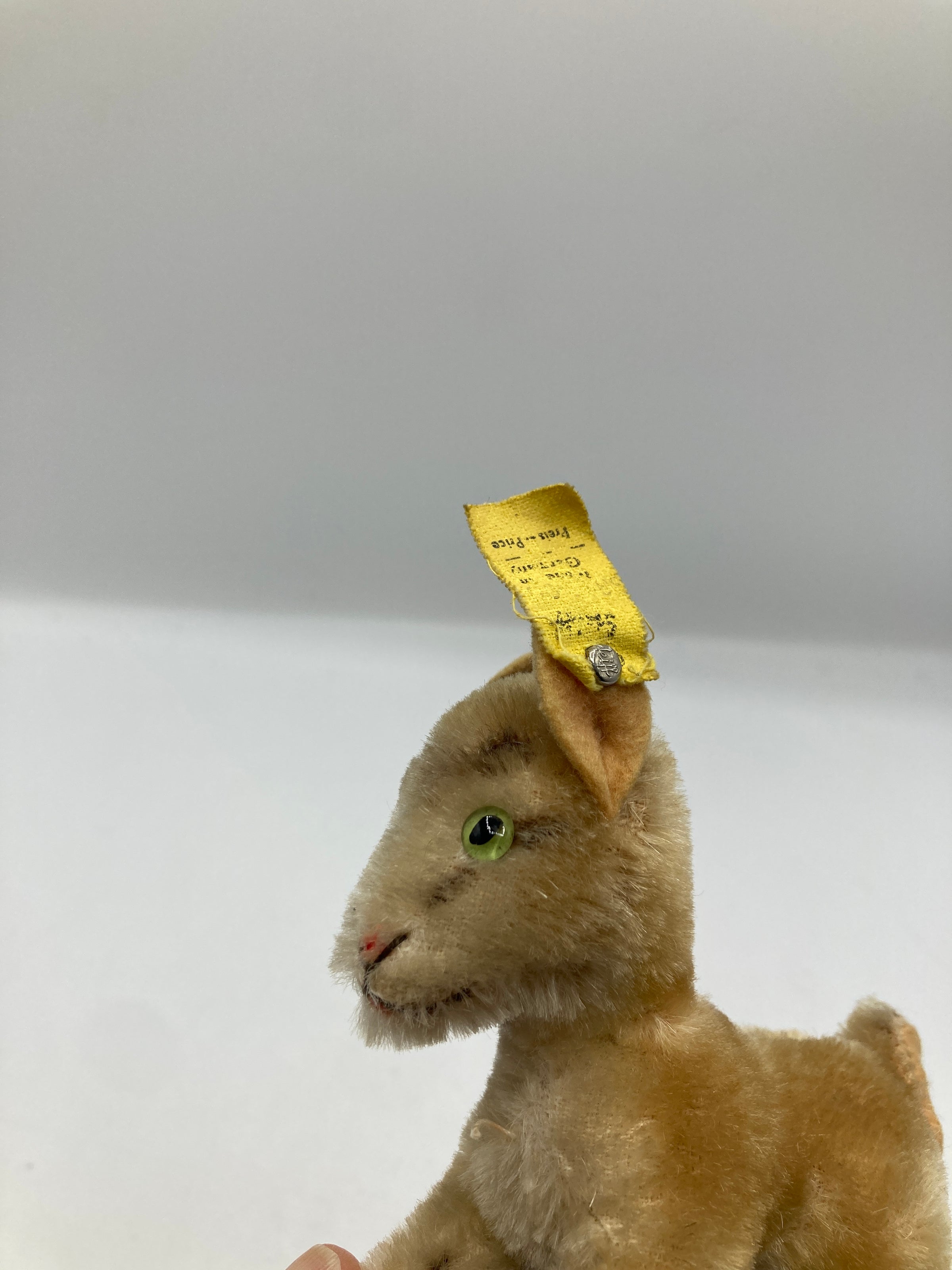 Steiff 　ヤギのZicky　最小 Steiff Smallest Mohair Zicky Goat With IDs | My Site