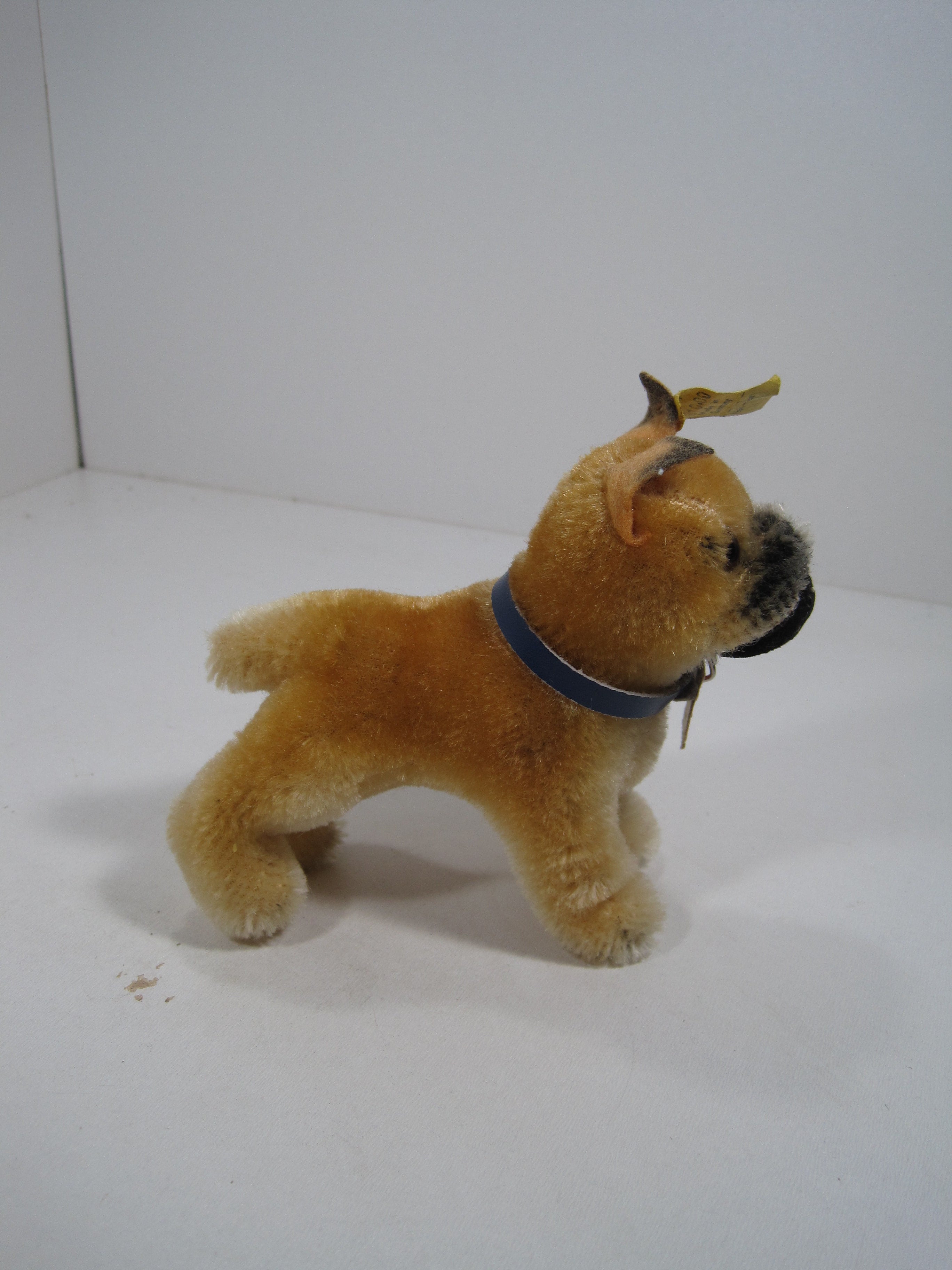 Steiff Smallest Standing Boxer Dog With All IDs | My Site