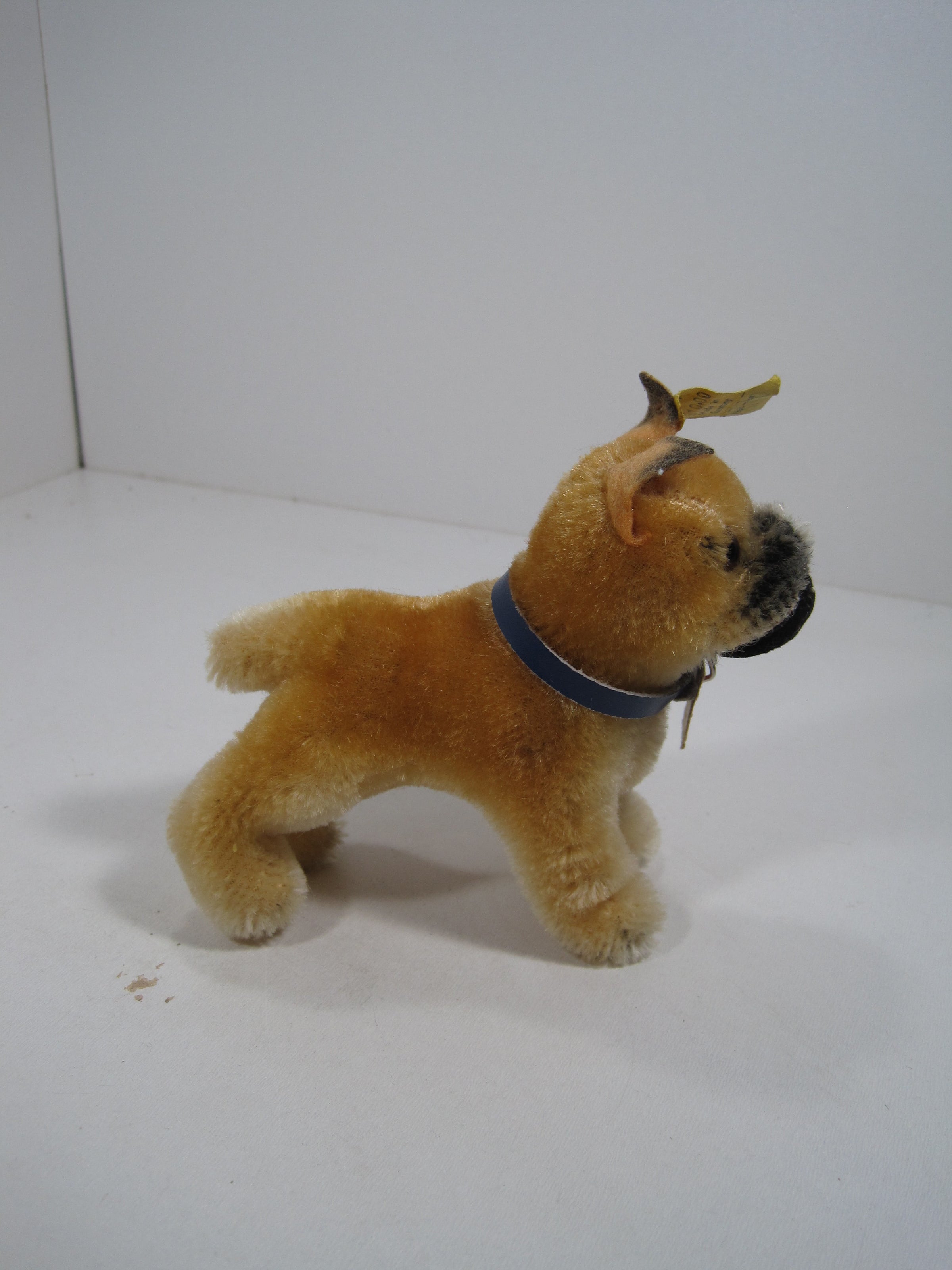 Steiff Smallest Standing Boxer Dog With All IDs | My Site