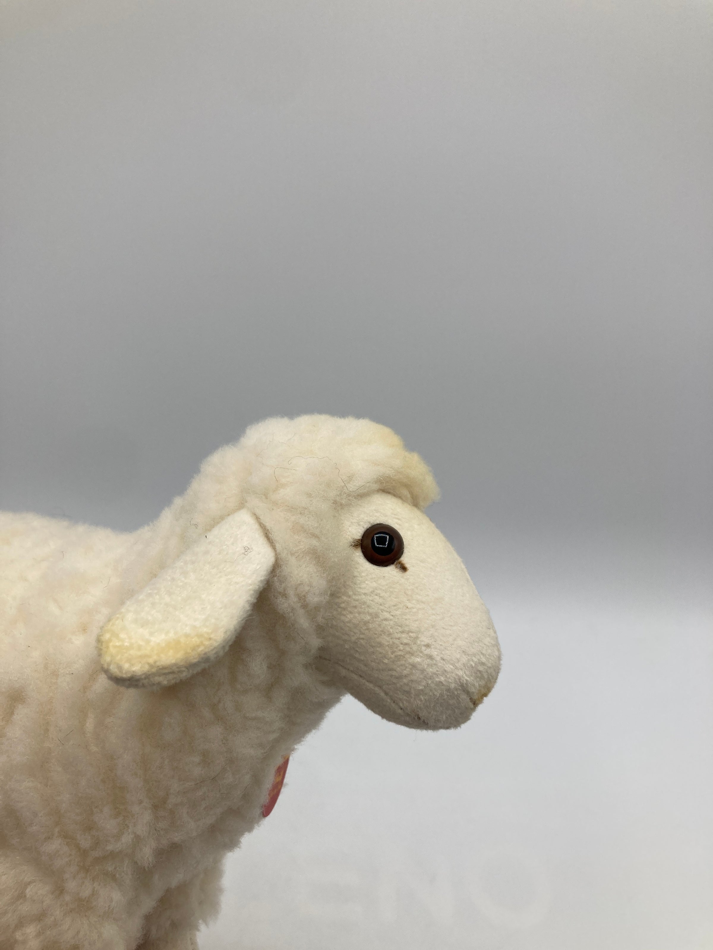 Steiff Soft Plush Lamby Lamb With All IDs | My Site
