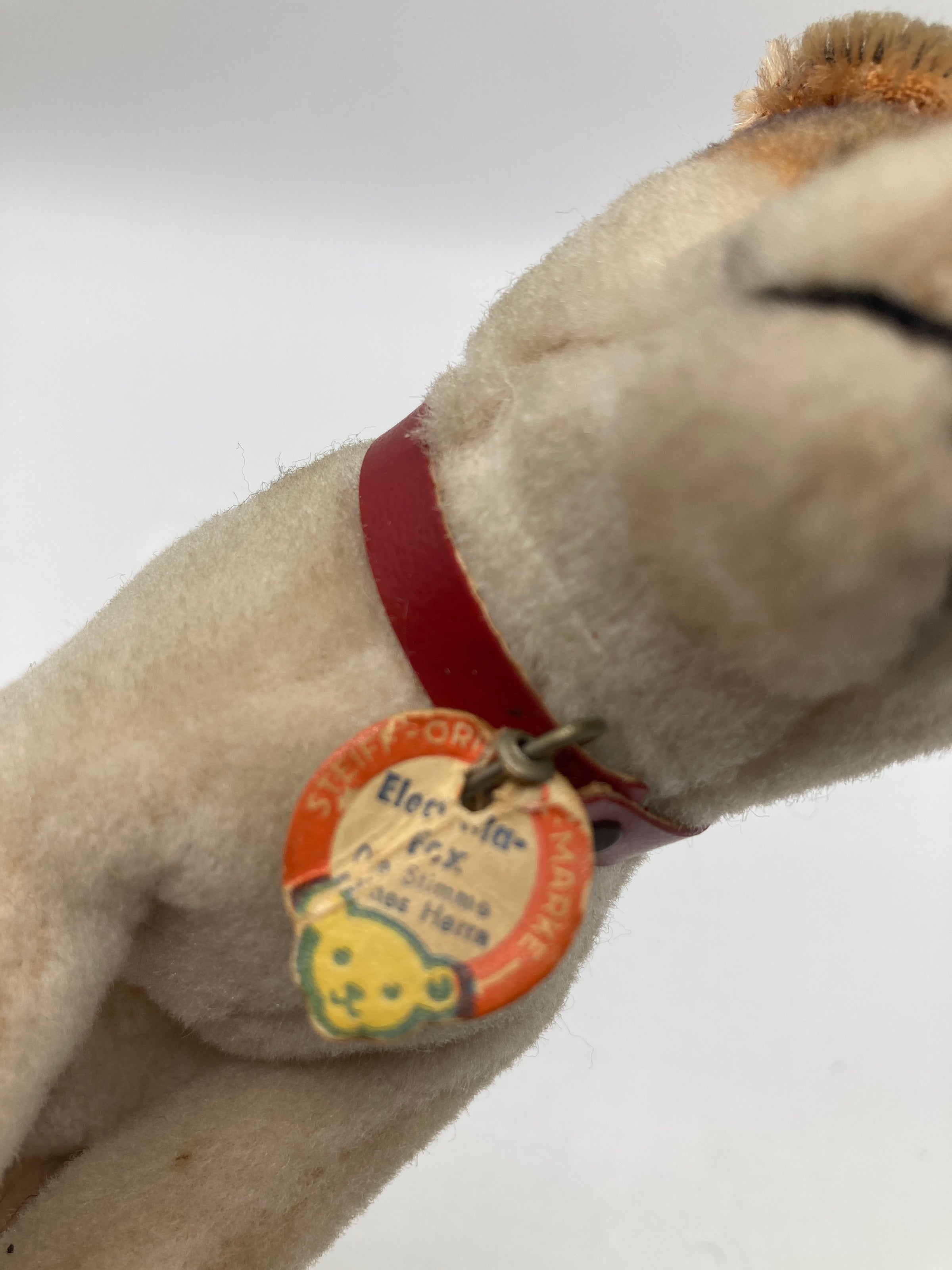 Steiff Smallest and Extremely Rare HMV Electrola Fox Dog With ID