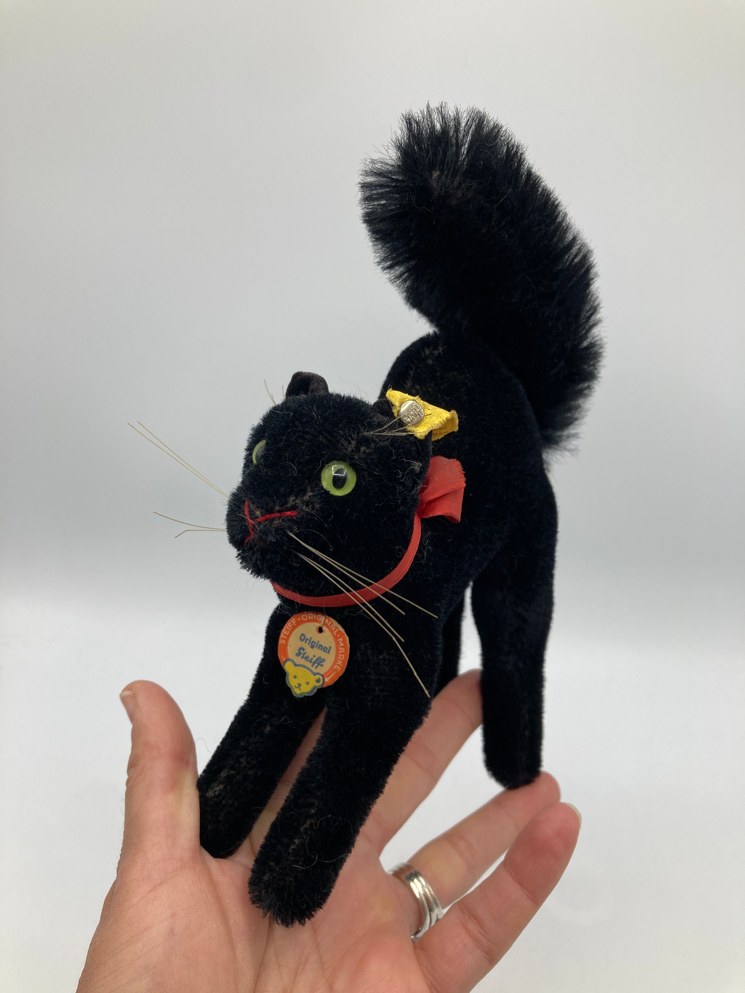 Steiff Medium Black Tom Cat With All IDs | My Site