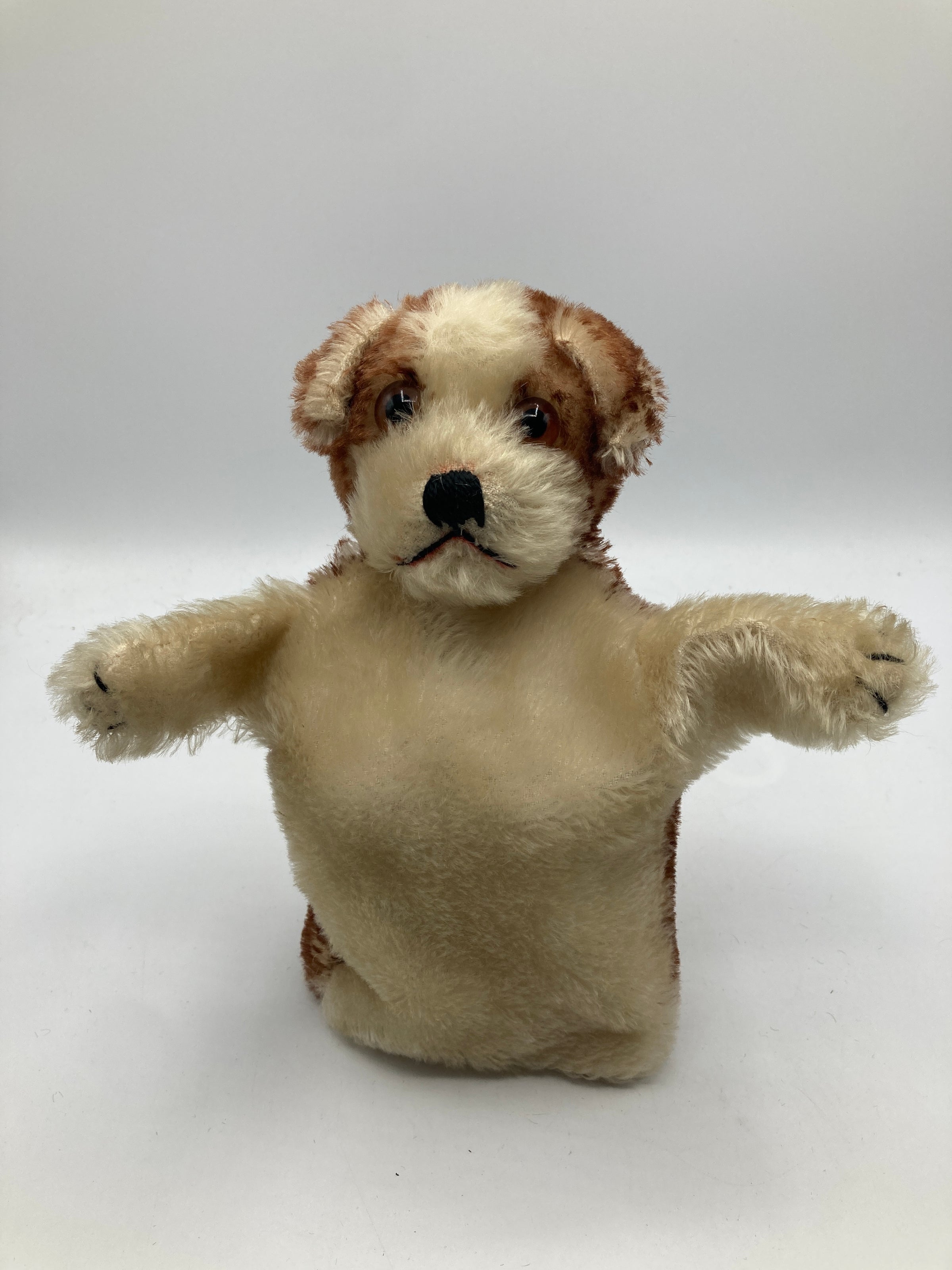 Steiff Early Postwar Molly the Puppy Dog Hand Puppet With IDs | My
