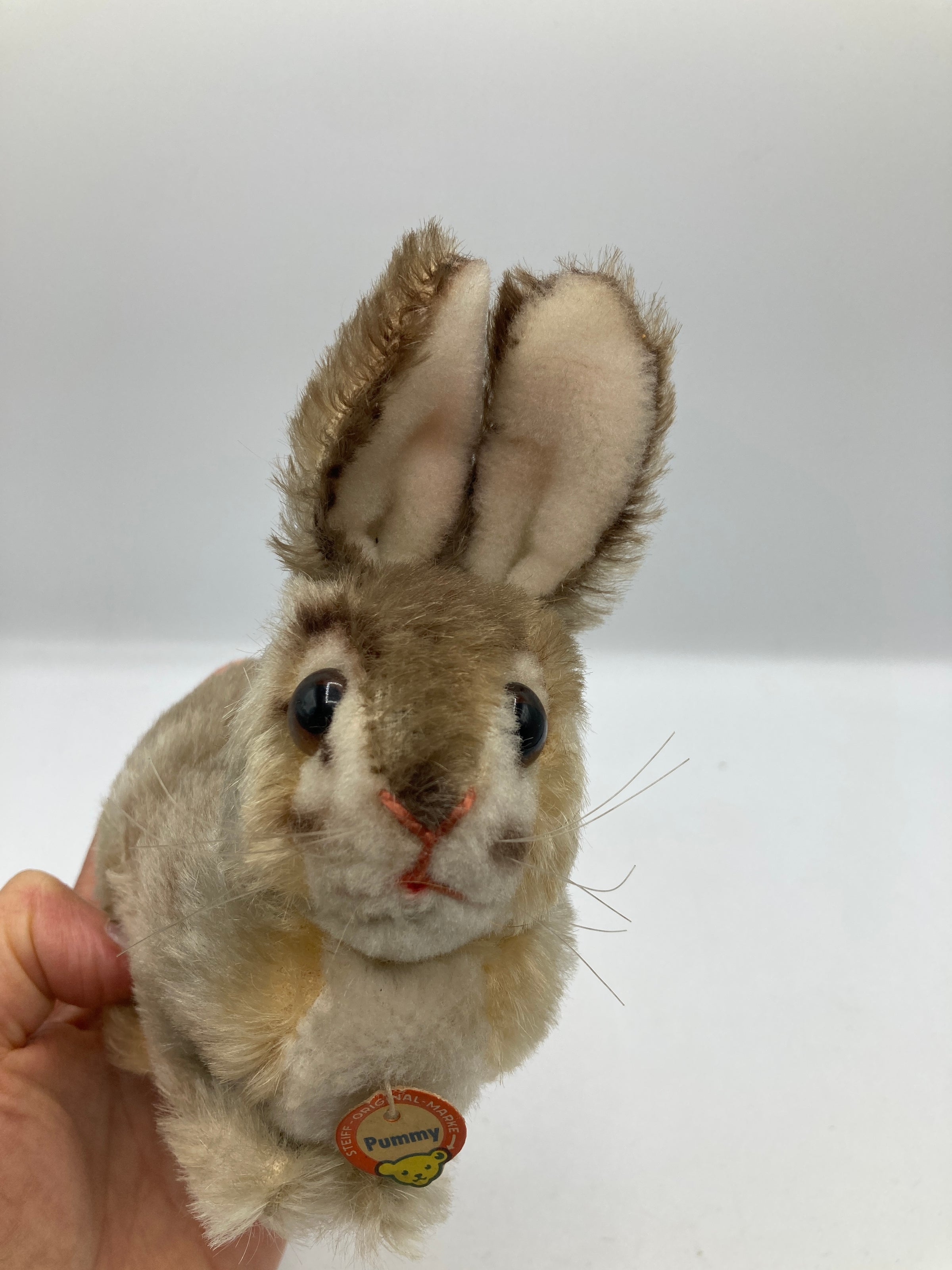 Steiff Smallest Mohair Pummy Rabbit With ID | My Site