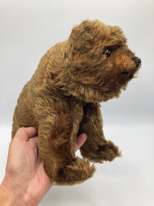 Bears | My Site