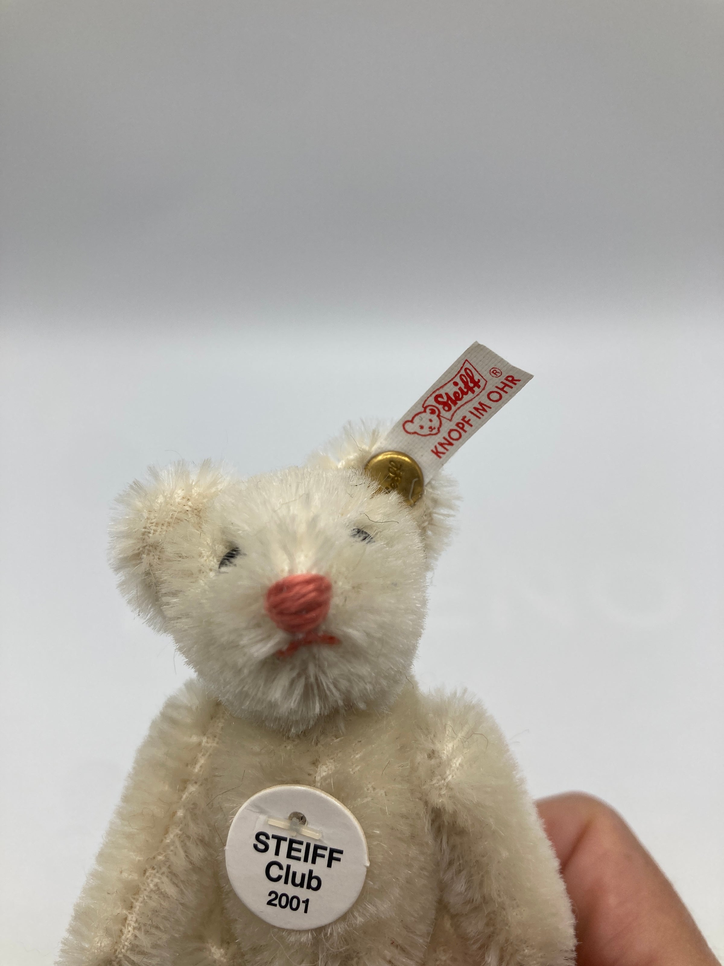 Steiff Fully Jointed Tiny 2001 Steiff Club Bear With All IDs | My Site